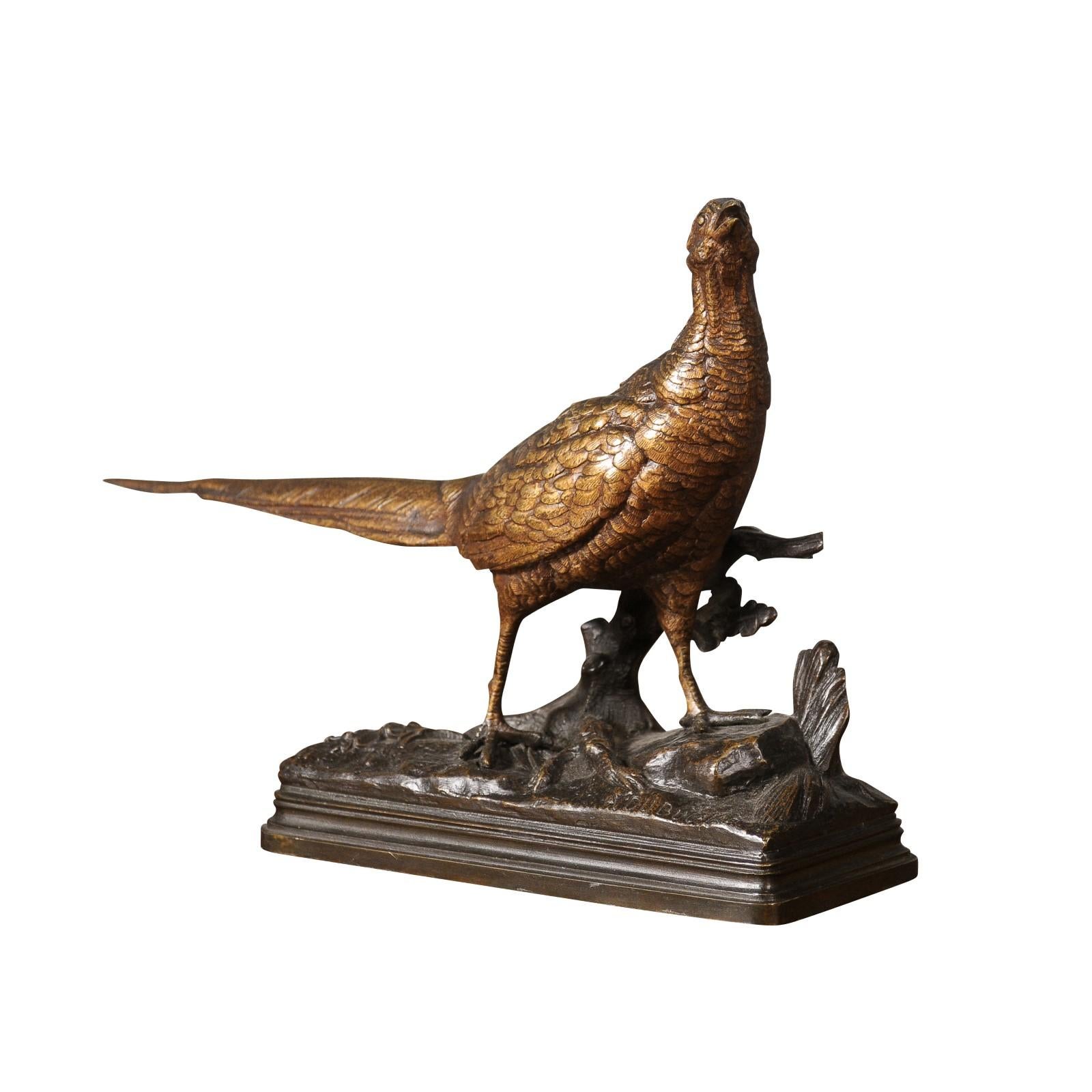 A 19th century bronze sculpture of a pheasant on a foliated base by Alfred Dubucand (1828-1894). Immerse yourself in the grandeur of nature with this exquisite 19th century bronze sculpture of a pheasant by Alfred Dubucand, an eminent French animal