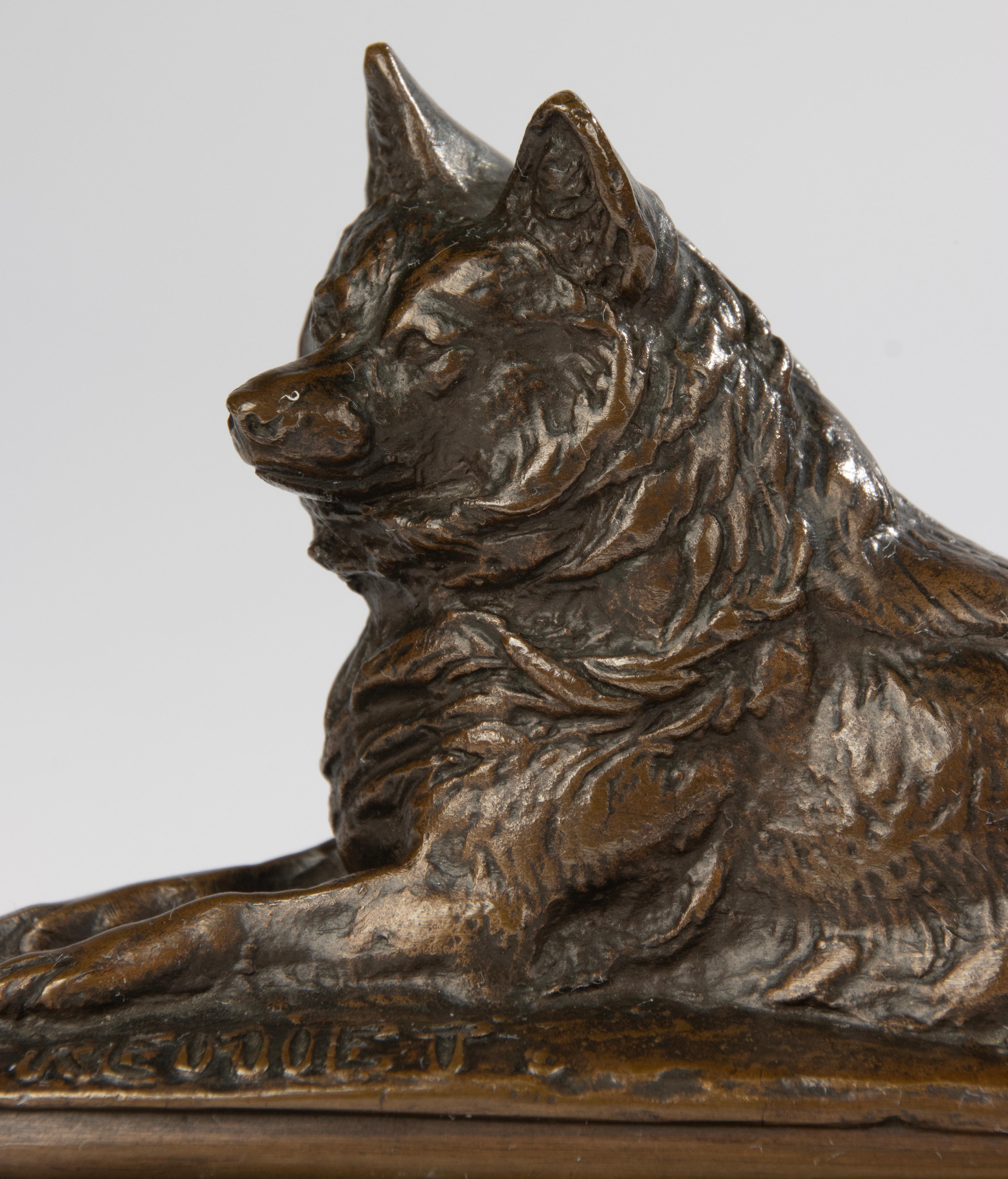 Scultura in bronzo di uno Spitz dag sdraiato. Il bronzo ha una patina marrone calda. Su un basamento in marmo Nero Portoro. 
Bellissima qualità, bronzo molto raffinato con grande attenzione ai dettagli. Firmato sul piede. La scultura è in buone