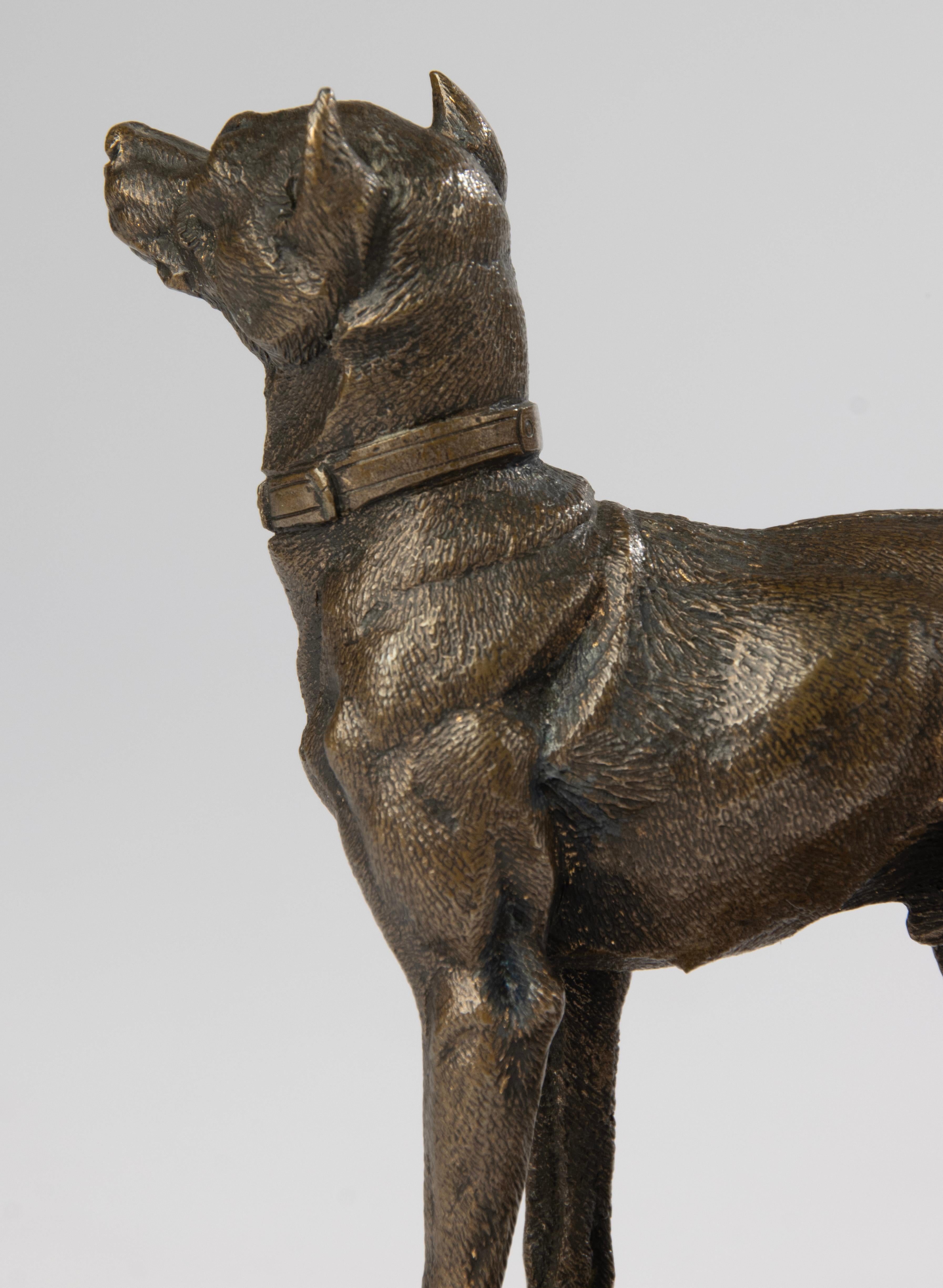 Bronzeskulptur eines Terrierhundes aus dem 19. Jahrhundert – hergestellt von Alfred Dubucand im Angebot 5