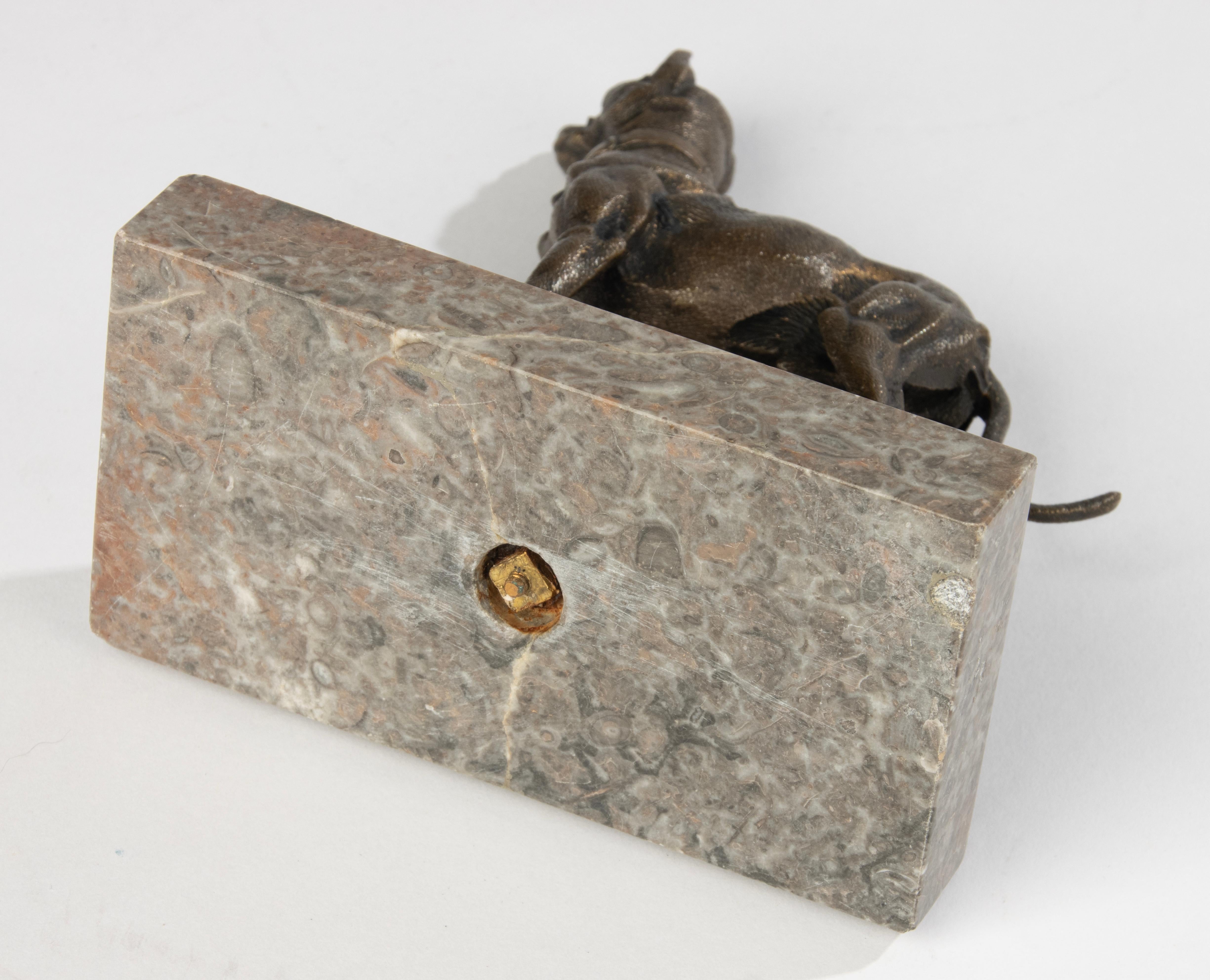Bronzeskulptur eines Terrierhundes aus dem 19. Jahrhundert – hergestellt von Alfred Dubucand im Angebot 9