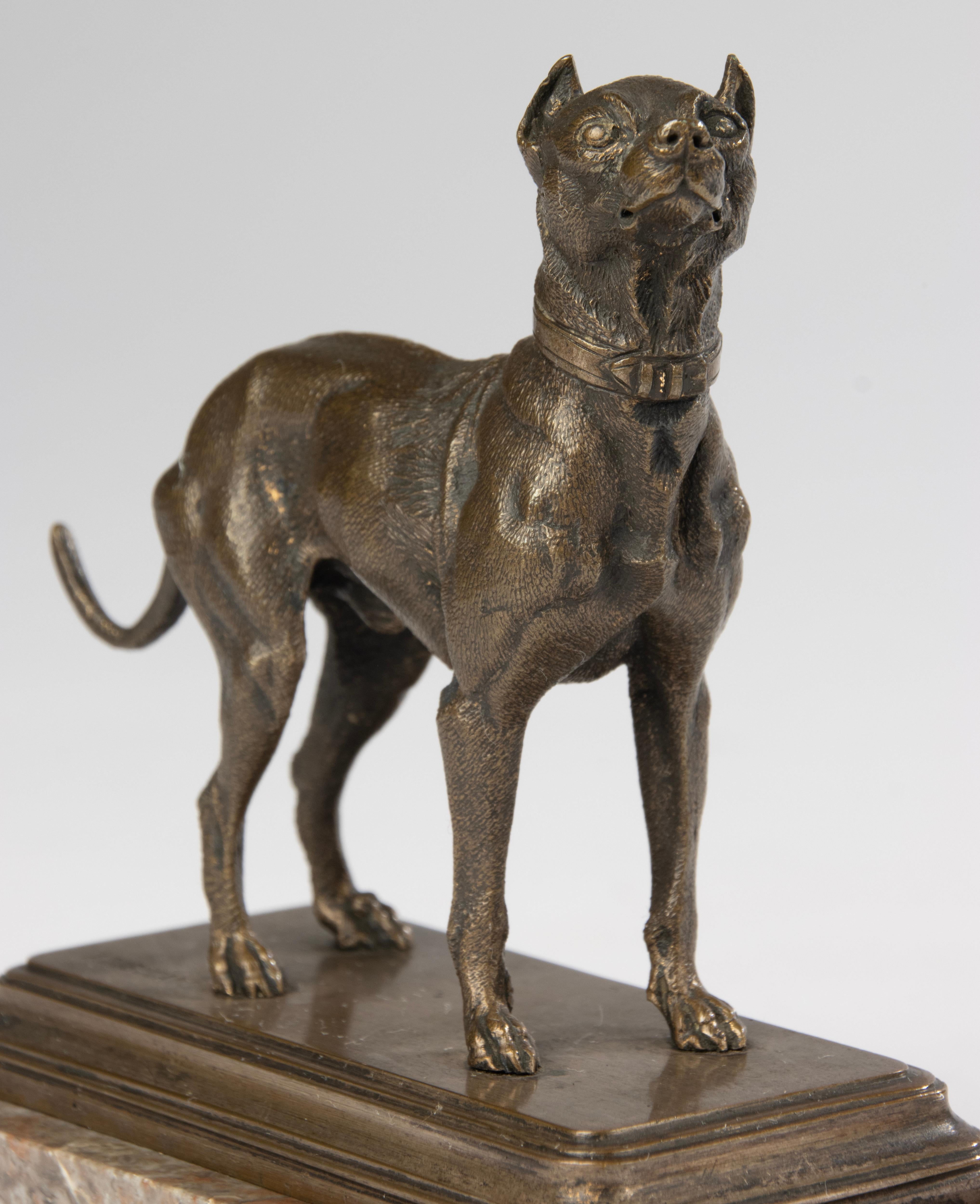 Eine schöne kleine Bronzeskulptur des französischen Animaliers / Künstlers Alfred Dubucand.
Es ist ein Terrier Hund, sehr raffiniert Bronze mit schönen Details.
Alfred Dubucand (1828-1894) ist ein berühmter französischer Bildhauer, der für seine