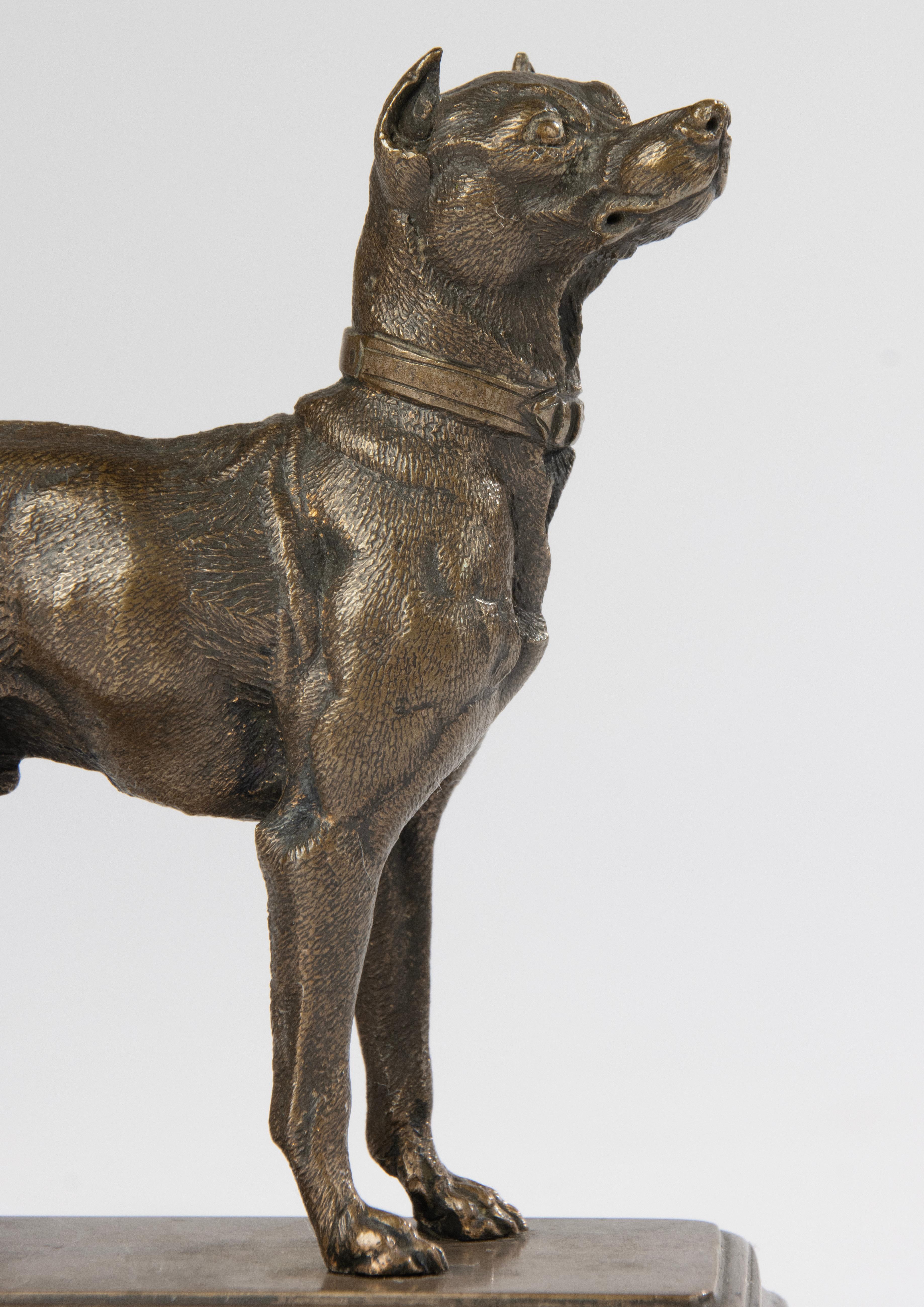 Bronzeskulptur eines Terrierhundes aus dem 19. Jahrhundert – hergestellt von Alfred Dubucand (Napoleon III.) im Angebot