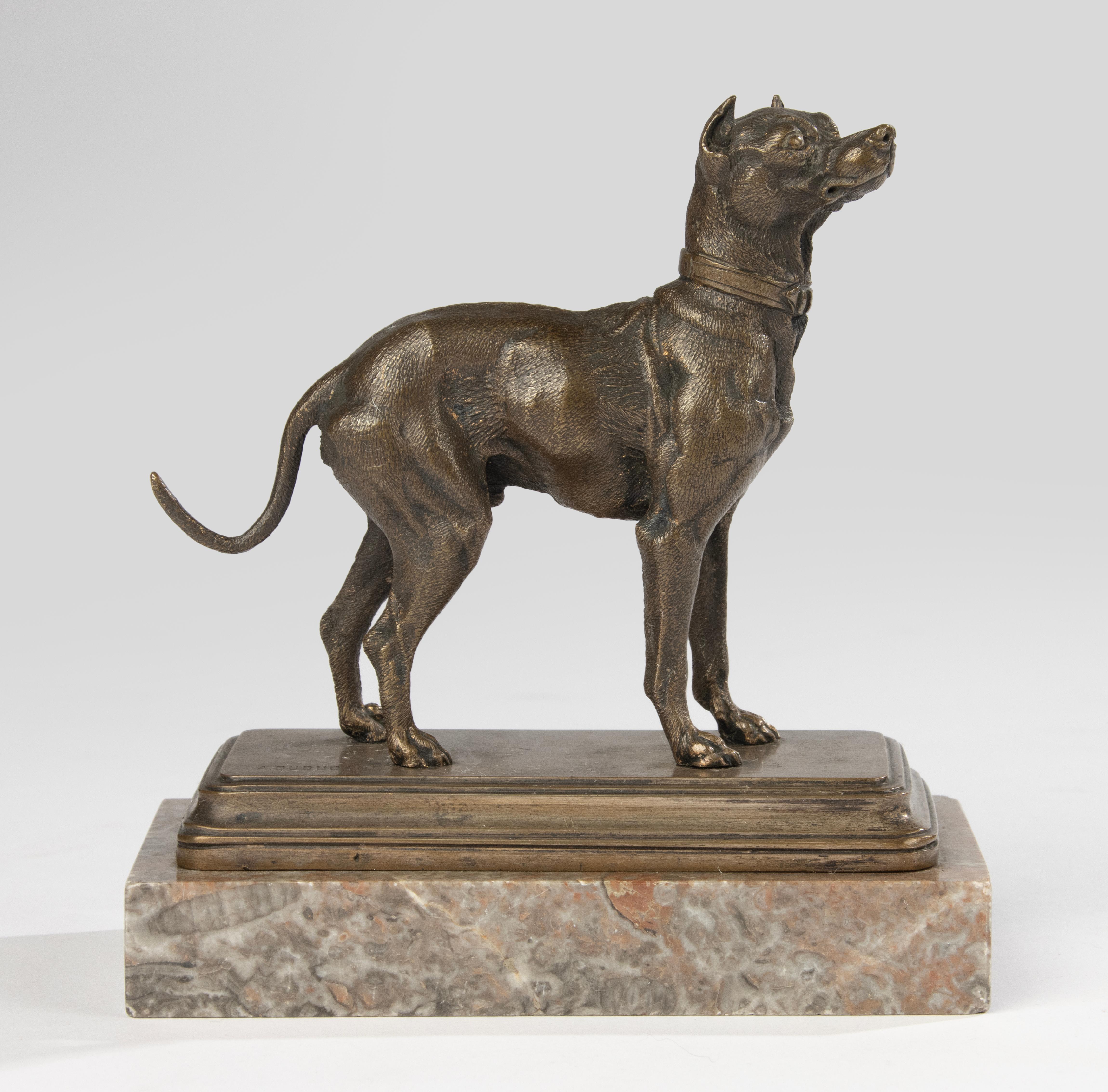 Bronzeskulptur eines Terrierhundes aus dem 19. Jahrhundert – hergestellt von Alfred Dubucand (Französisch) im Angebot