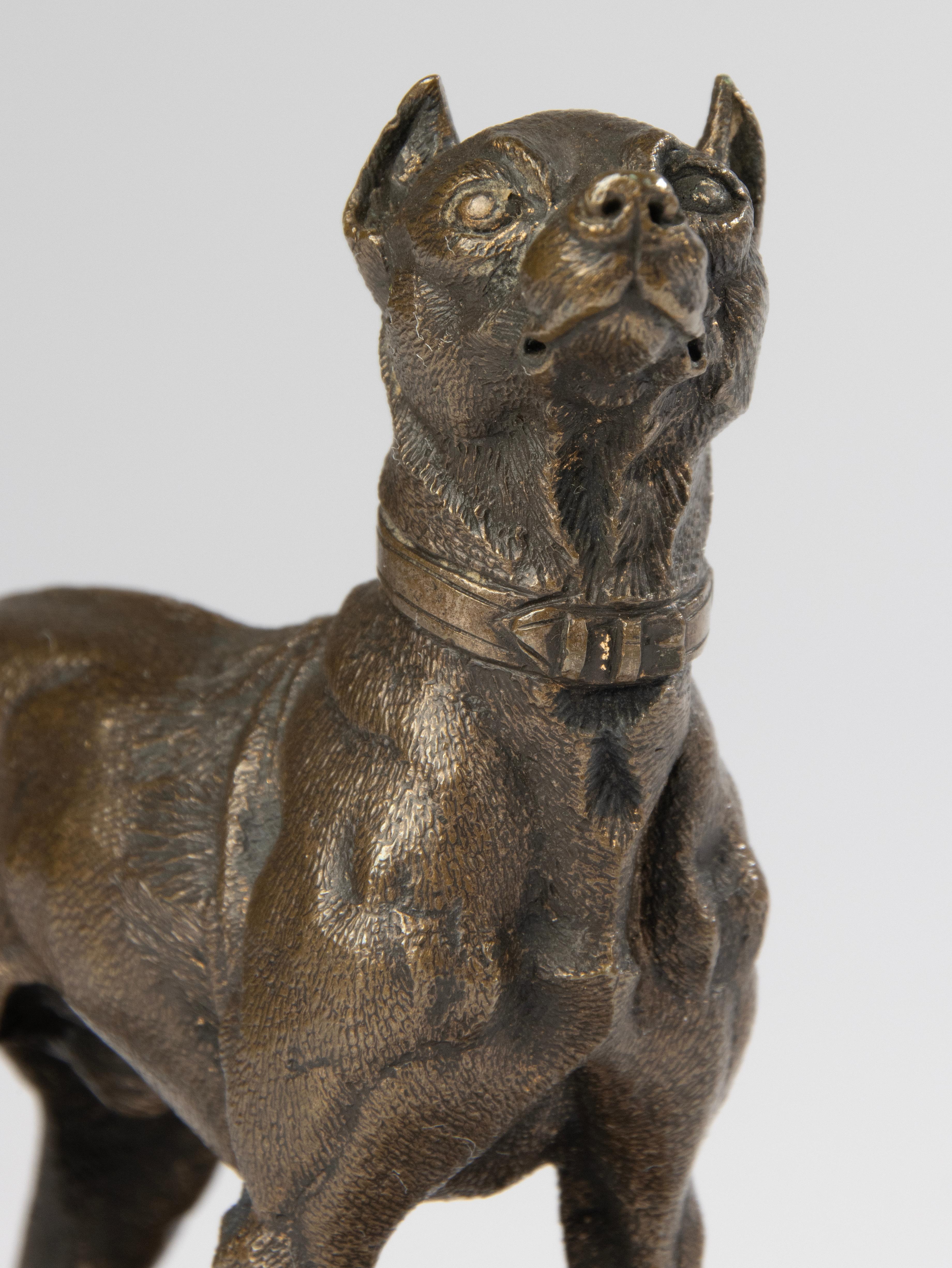 Bronzeskulptur eines Terrierhundes aus dem 19. Jahrhundert – hergestellt von Alfred Dubucand im Angebot 1