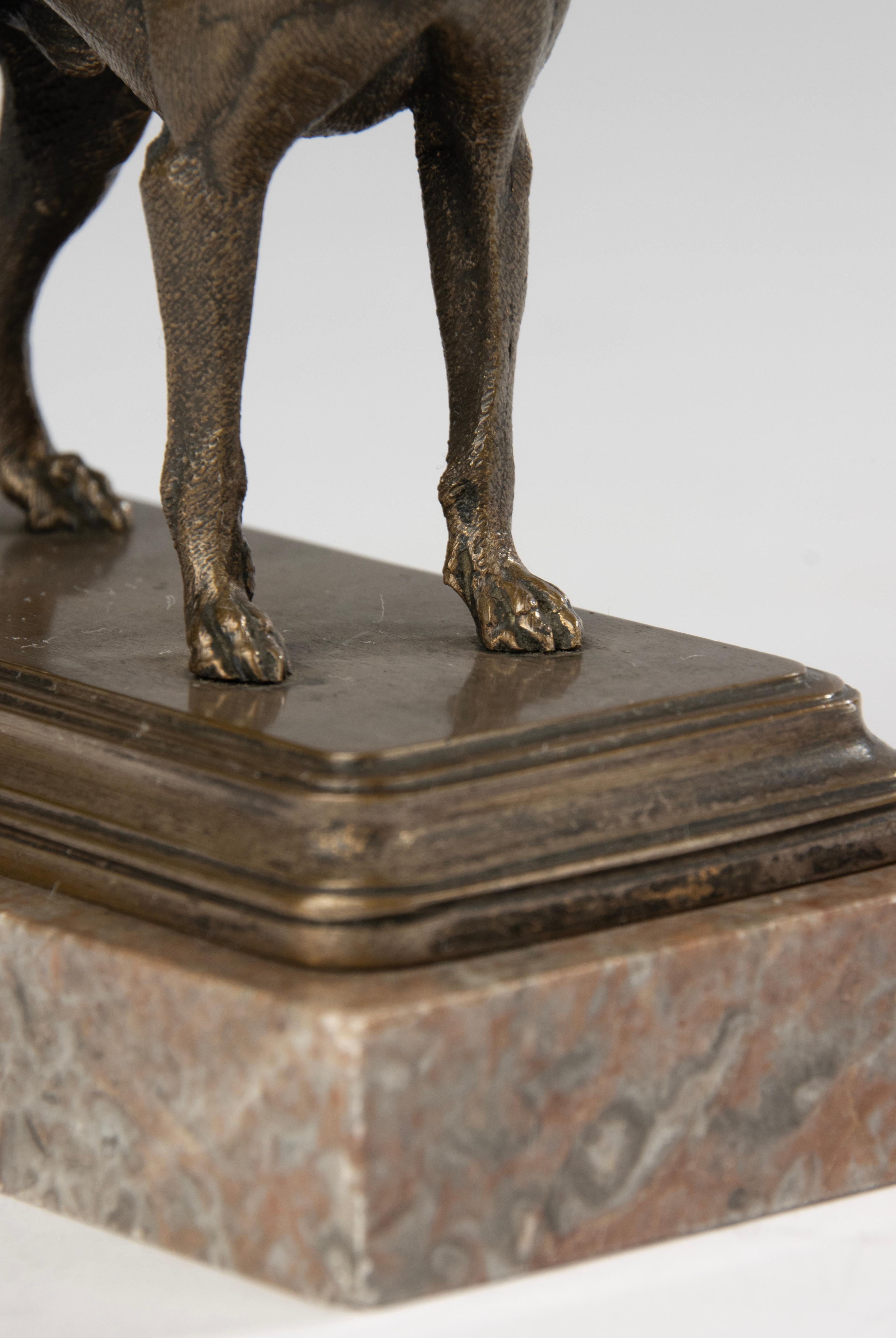 Bronzeskulptur eines Terrierhundes aus dem 19. Jahrhundert – hergestellt von Alfred Dubucand im Angebot 3