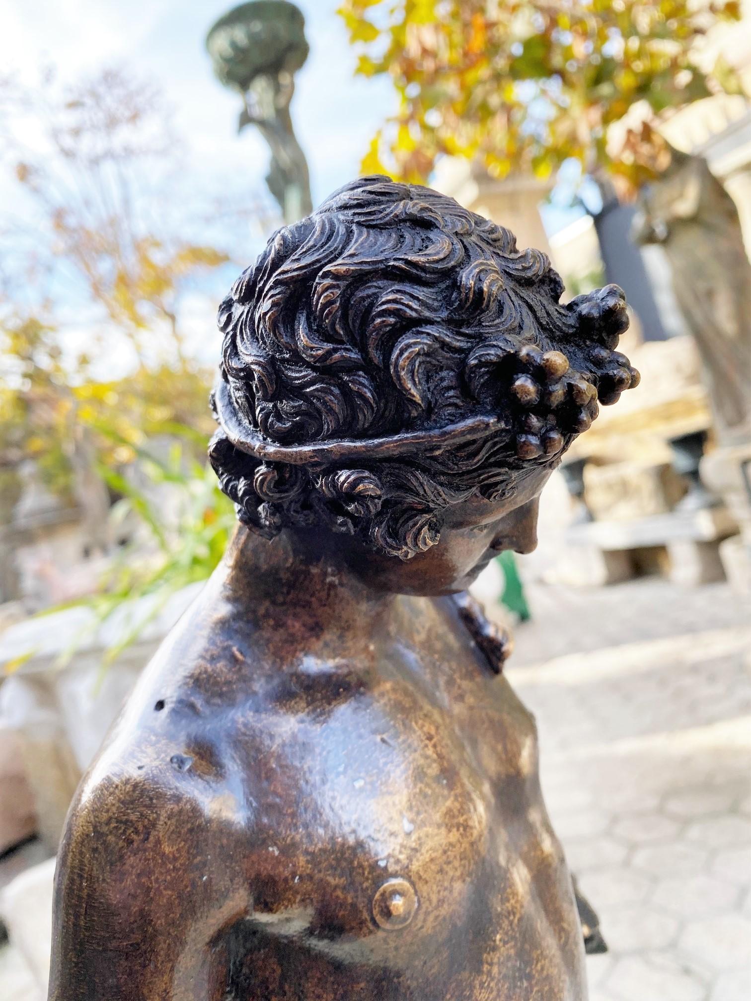 louare bronze narcissus