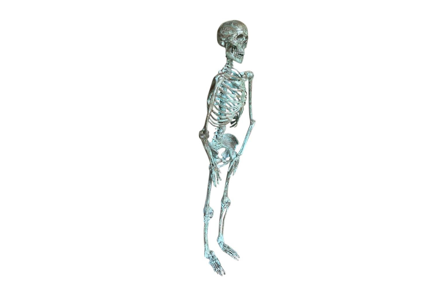 Ein aufsehenerregendes Skelett aus Bronze aus dem 19. Jahrhundert, das aus der Medizinischen Universität Löwen (Belgien) stammt. Eine hervorragende Ergänzung für jede Arztpraxis.