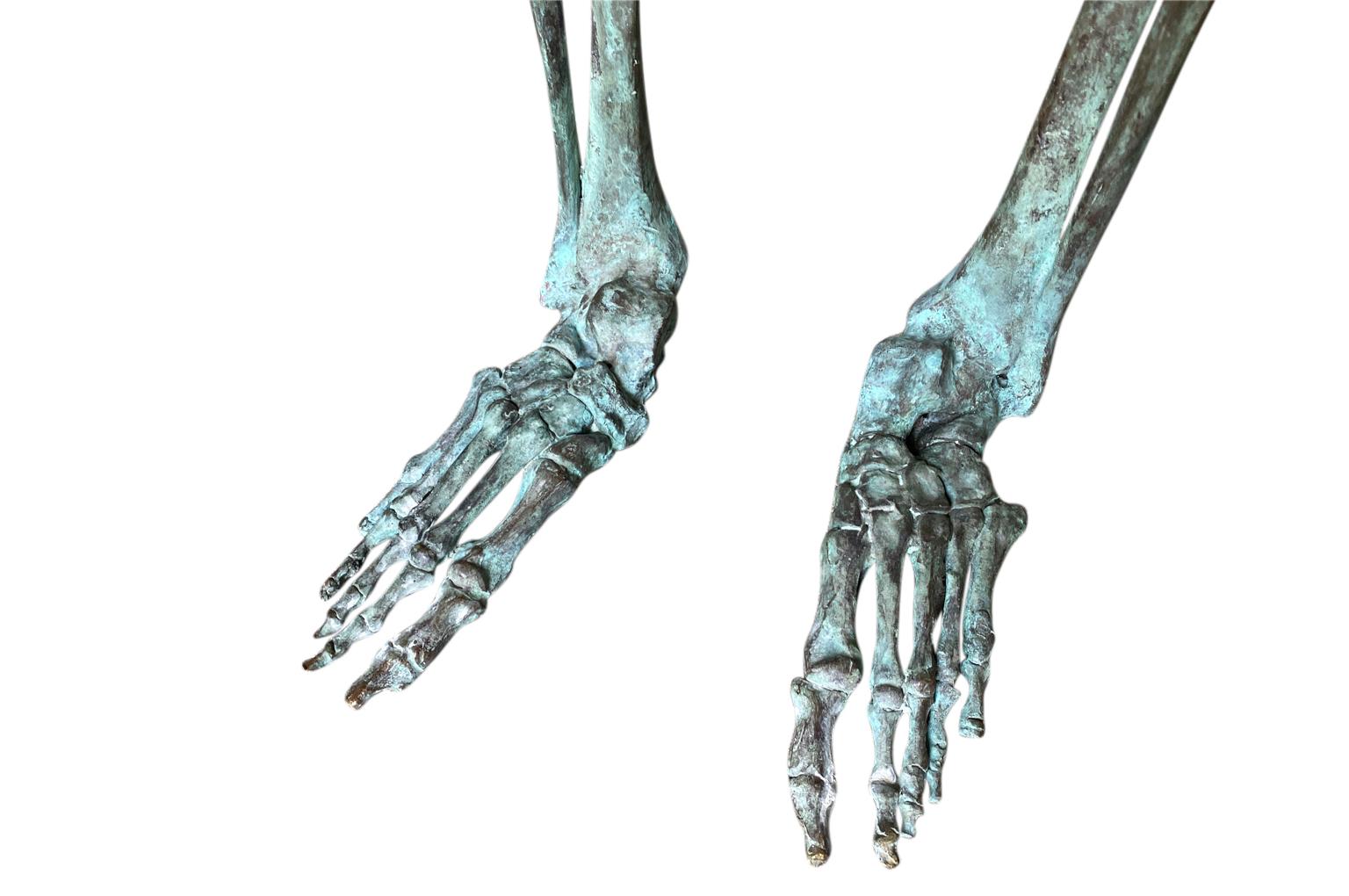 Squelette en bronze du 19ème siècle en vente 3