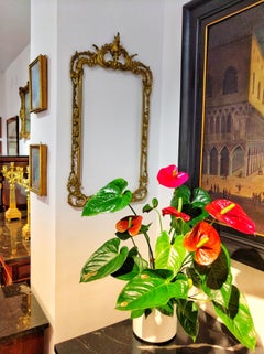 19th Century Bronze Spanish Mirror Frame Netflix Serie