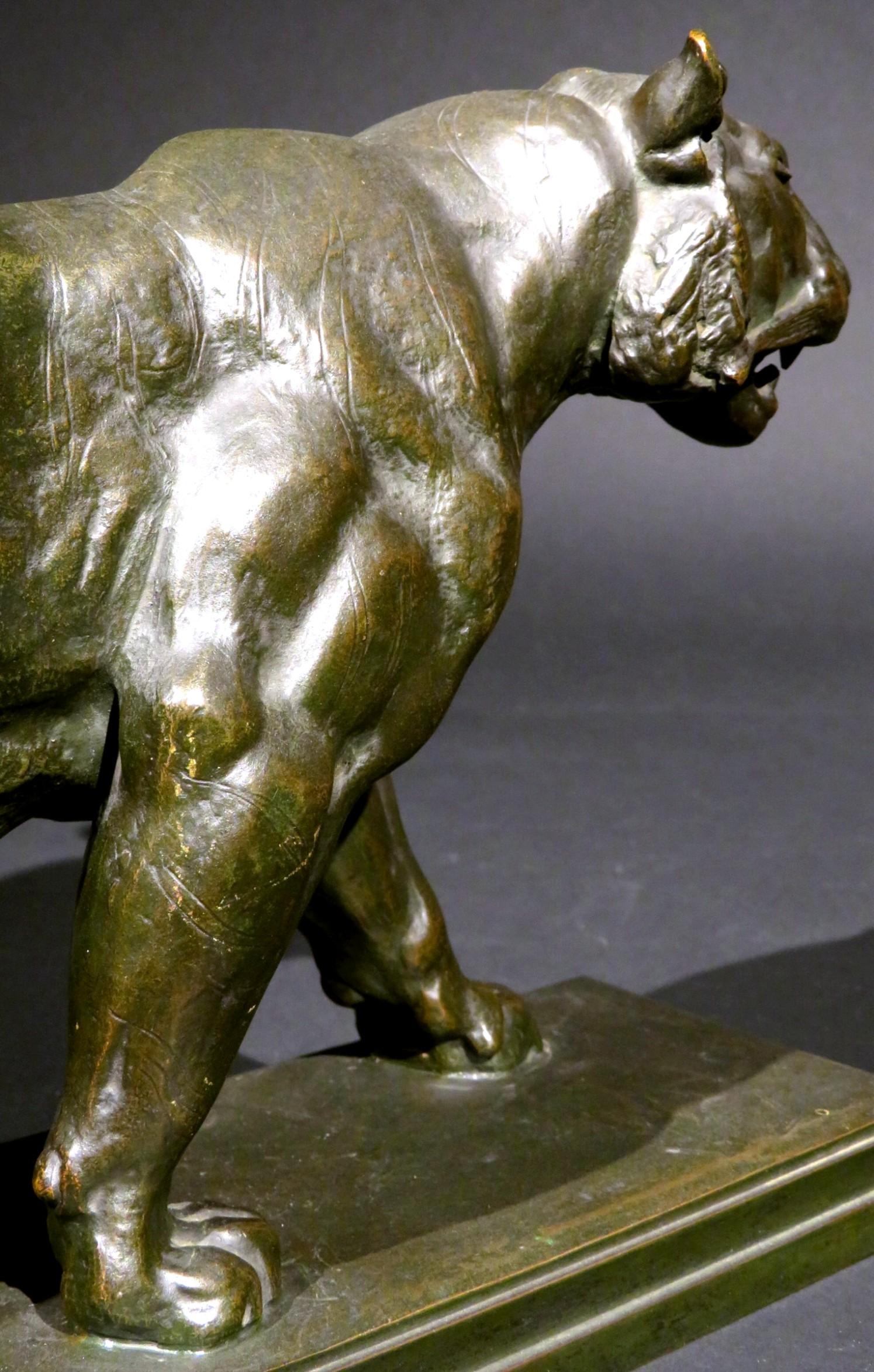 Tigre qui Marche en bronze du 19ème siècle d'après Antoine Louis Barye 1