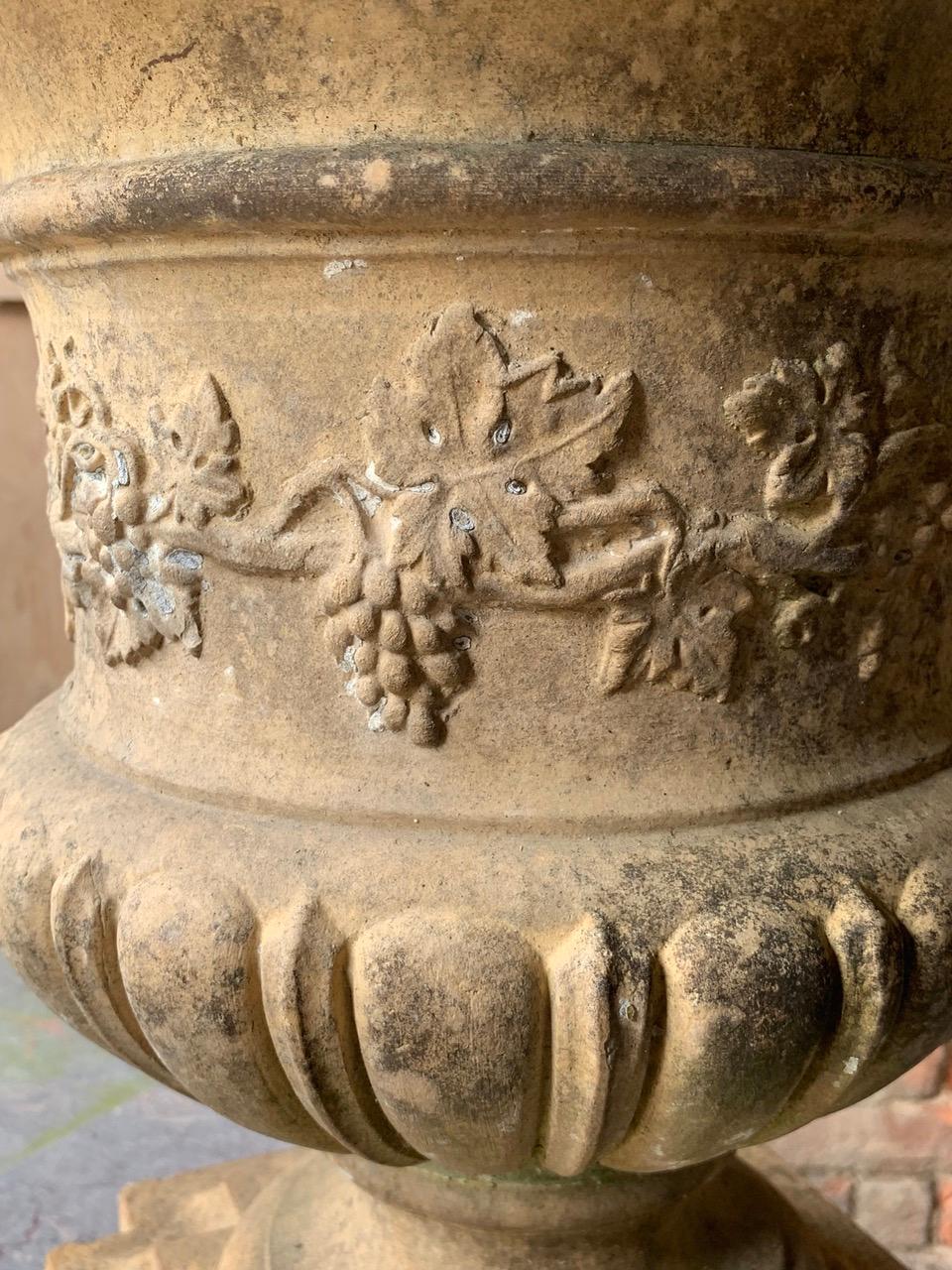 Molded 19th Century Buff Terracotta Urn For Sale