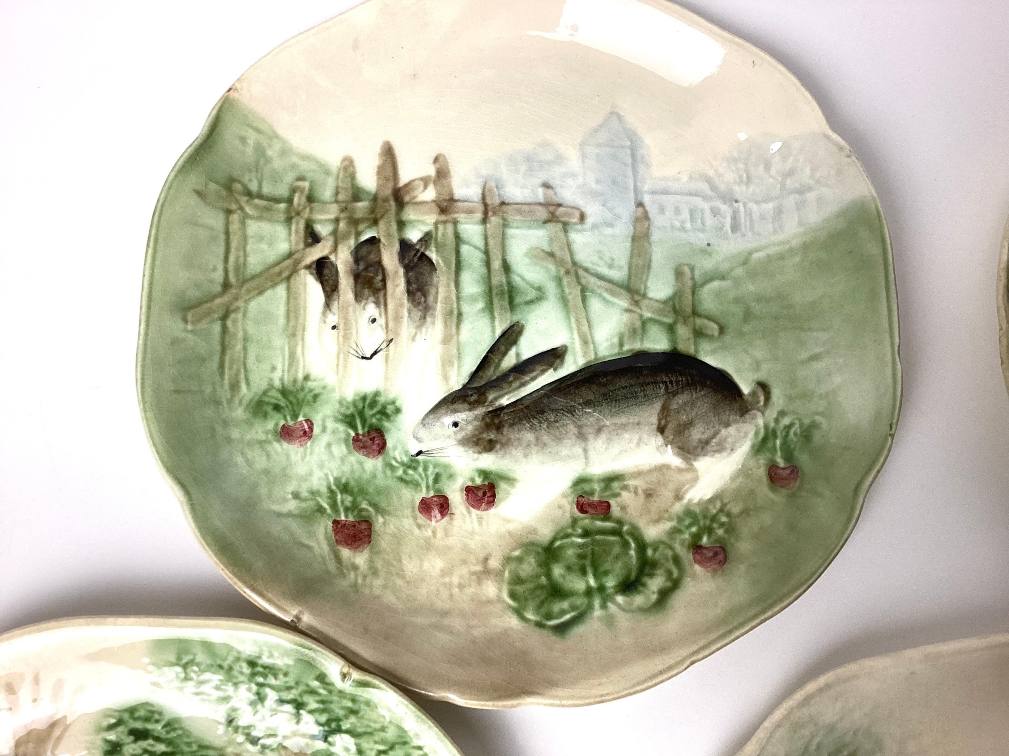 Coniglietto Le Roi piatto in maiolica Francia 9