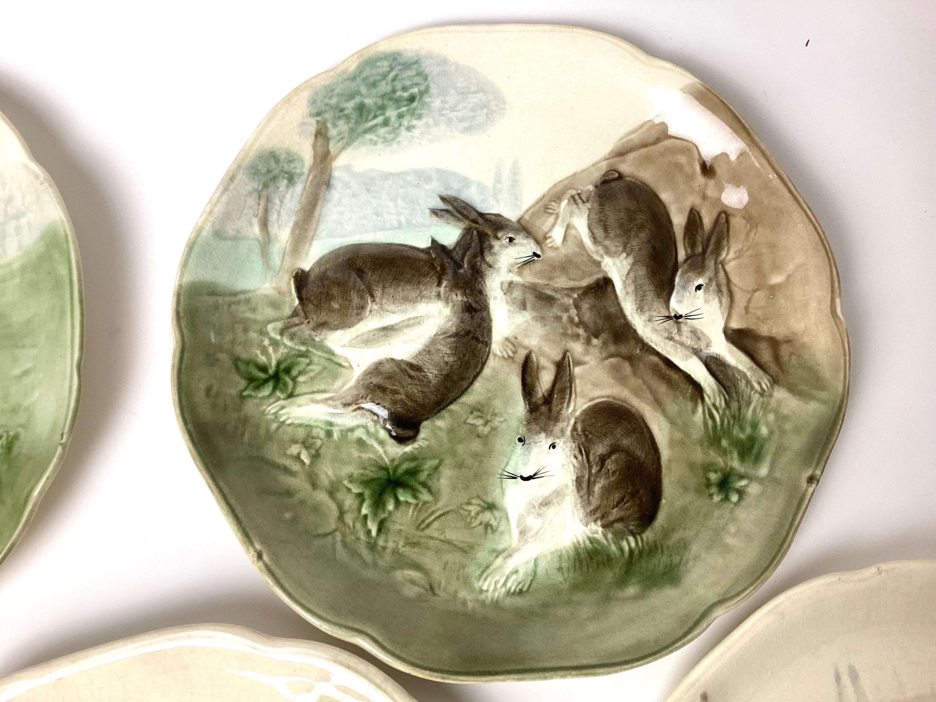 Country Piatti in maiolica Choisy-le-Roi del 19° secolo, Francia - Set di 7 coniglietti