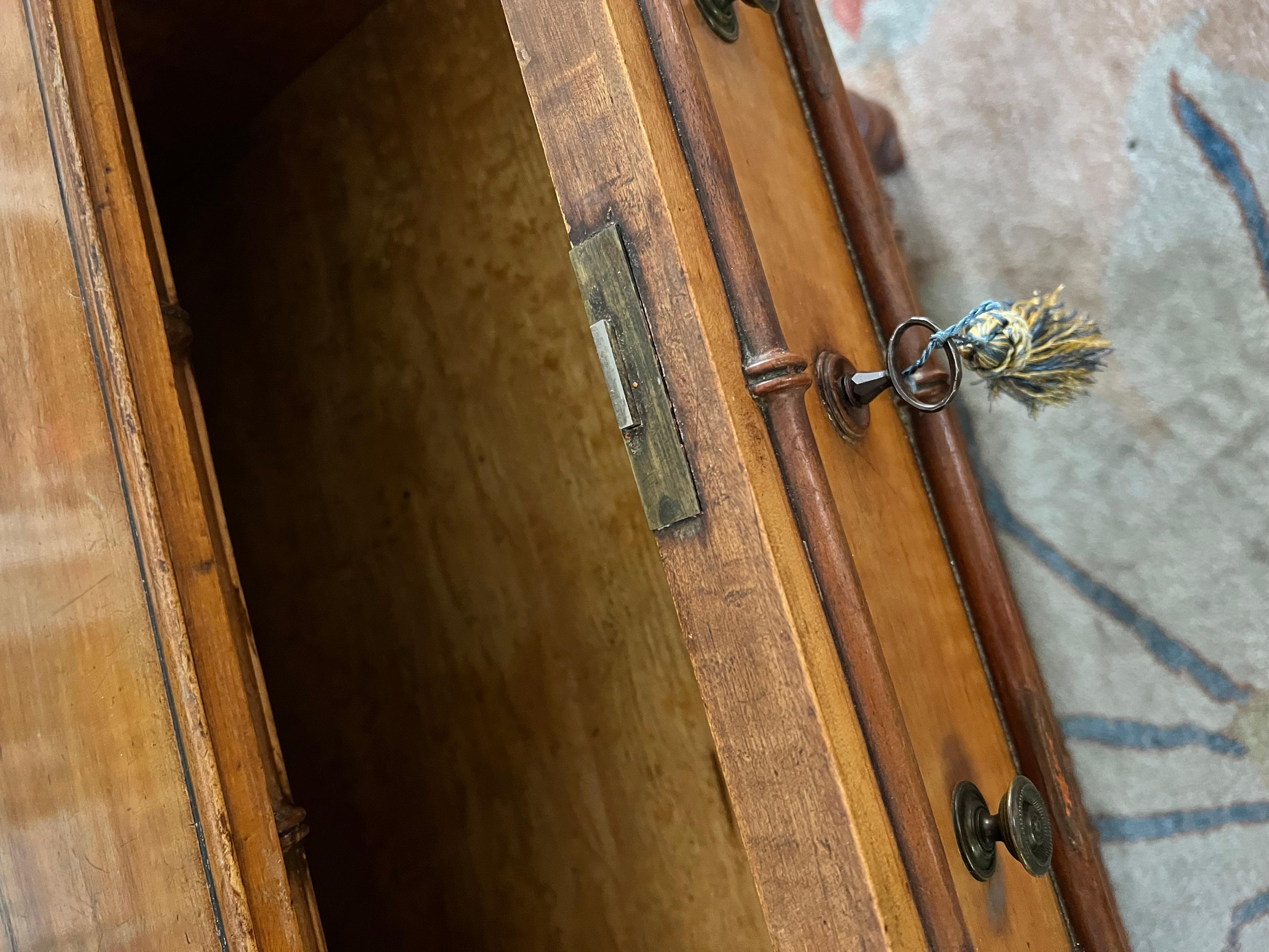 19th Century Burl Faux Bamboo Chest Drawers  8