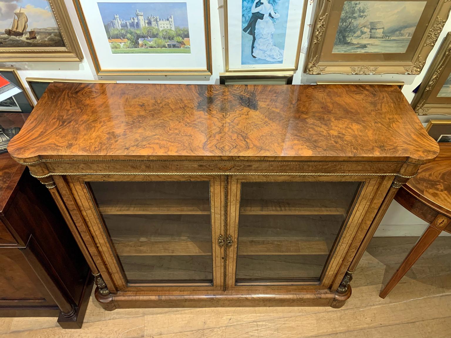 19th Century Burr Walnut Bookcase / Cabinet  1