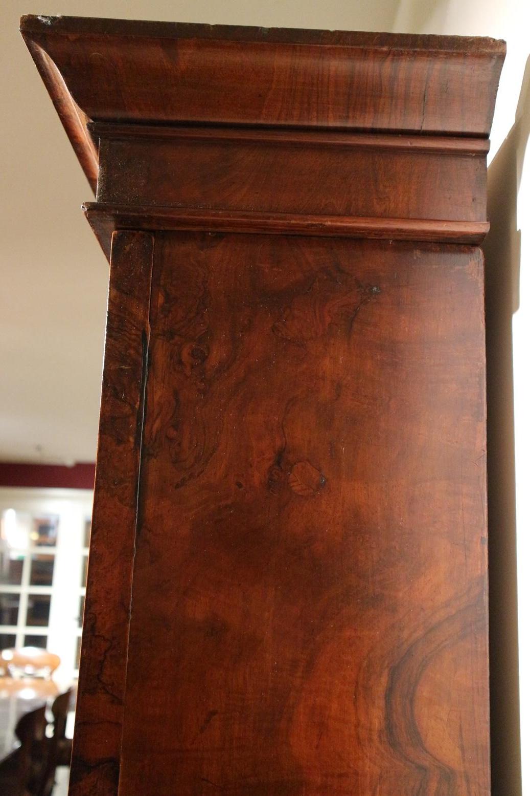 19th Century Burr Walnut open Bookcase 6
