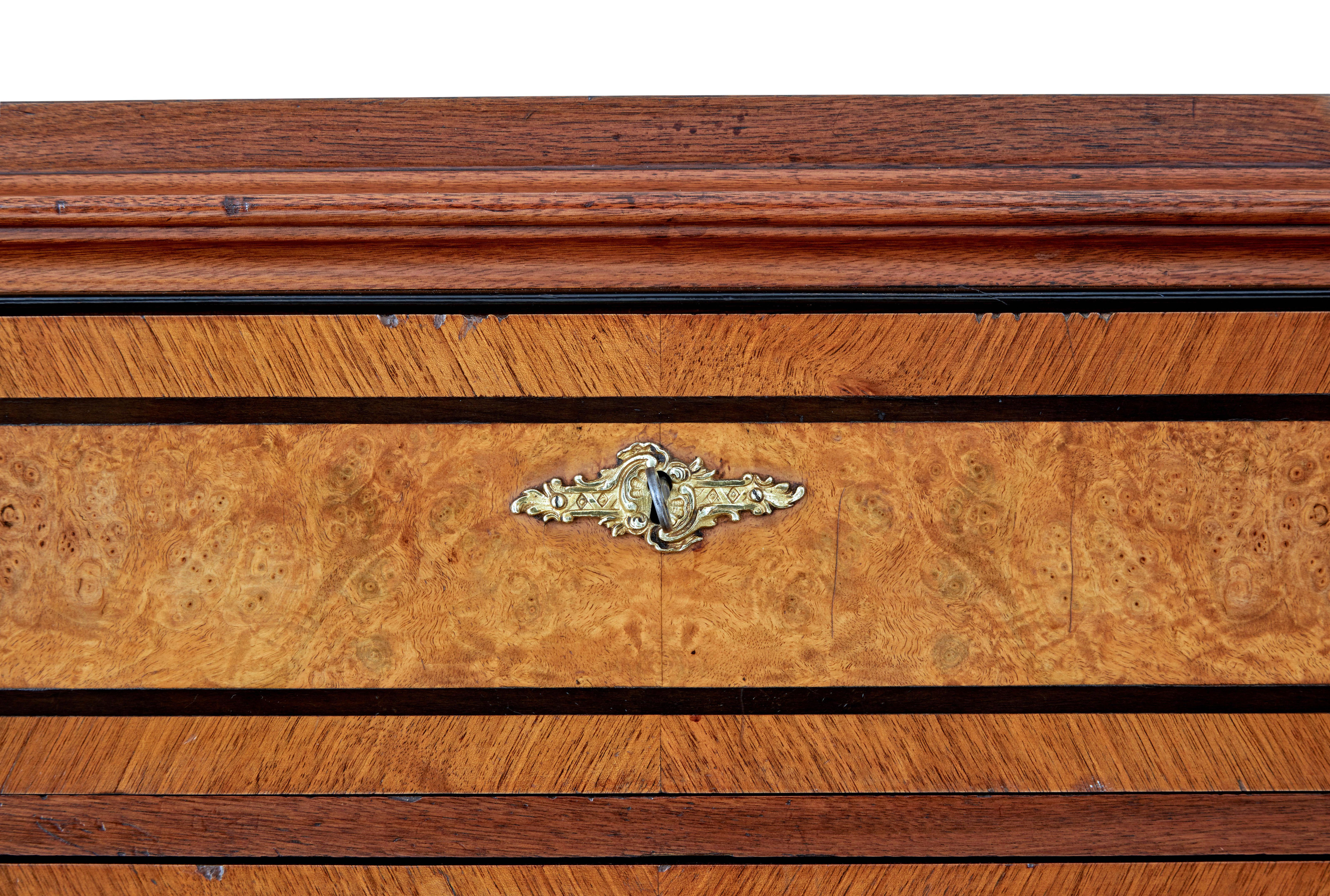 Walnut 19th Century burr walnut tall chest of drawers For Sale