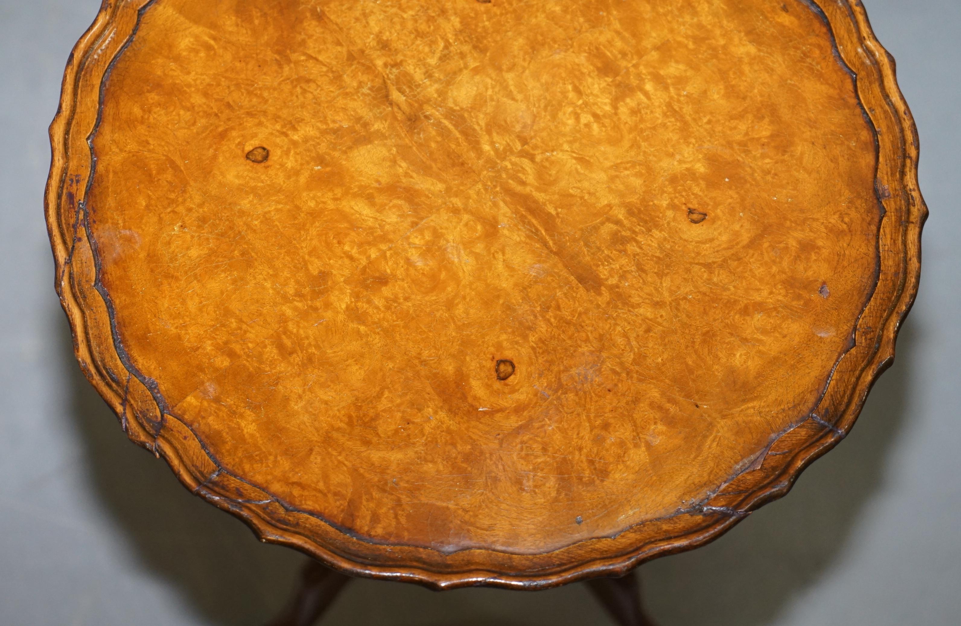 English 19th Century Burr Walnut Tripod Side Table Victorian Ornate Carving Pie Crust For Sale