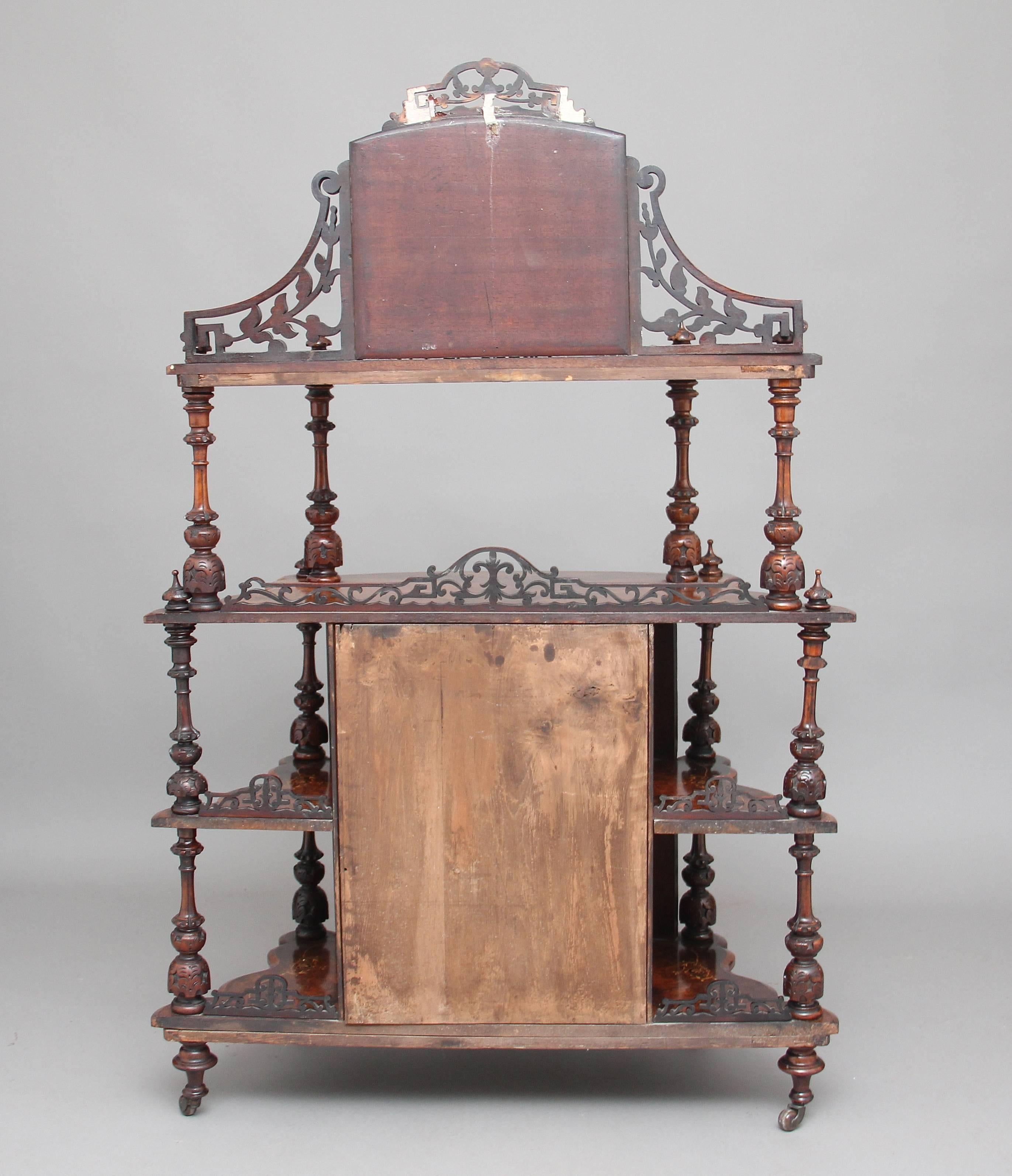 19th Century Burr Walnut Whatnot Cabinet 1