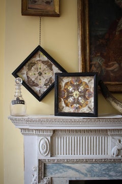 19th Century Butterfly Beetle Entomology Display Cases Taxidermy Curio