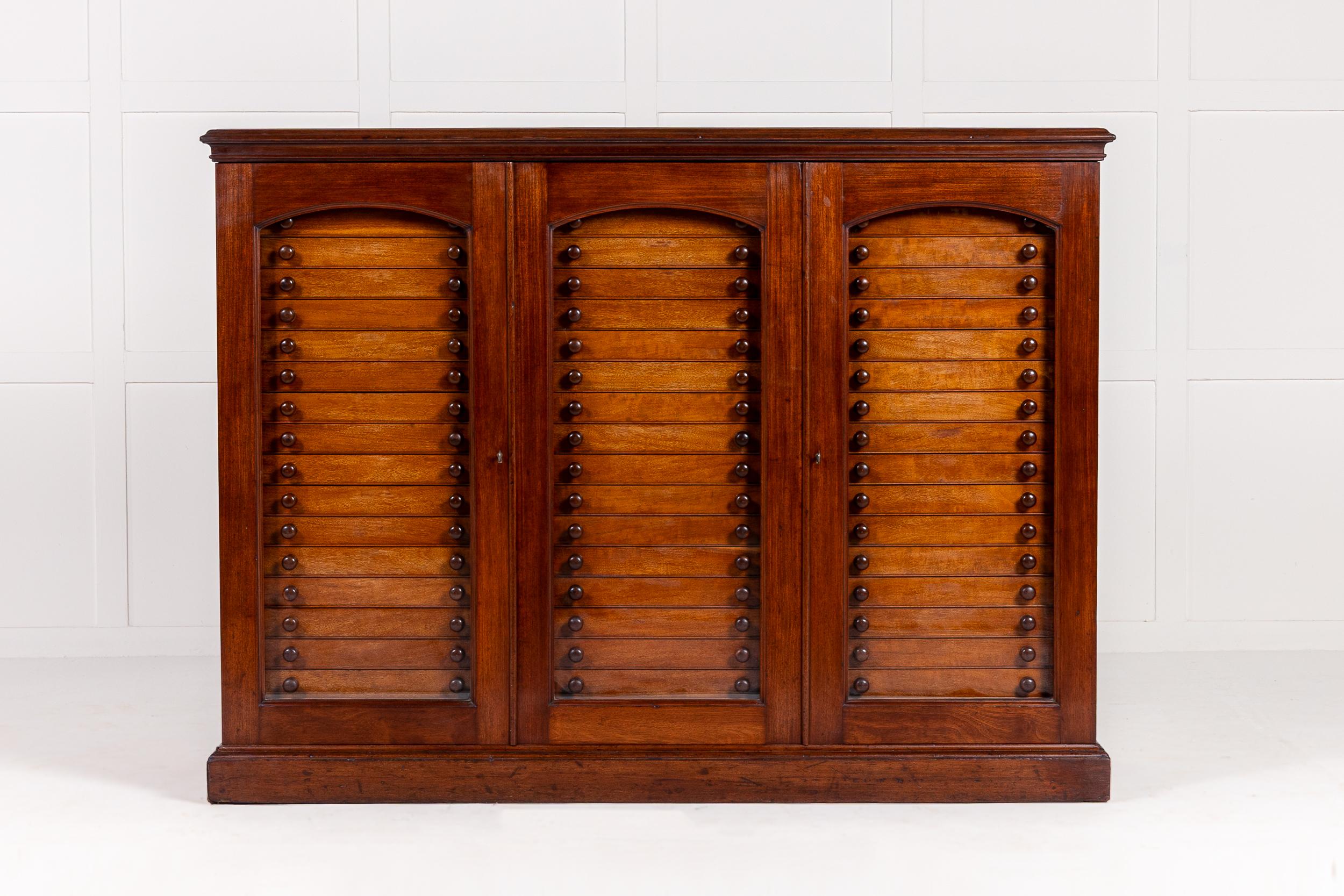Una collezione di farfalle del XIX secolo nel suo mobile da collezione originale di J. J. Hill & Son.

Una collezione sorprendente, ampia e variegata che comprende 54 vaschette in vetro piene di esemplari di farfalle. Gli esemplari includono il