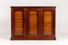 19th Century Butterfly Collection