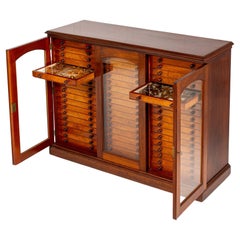 Antique 19th Century Butterfly Collection