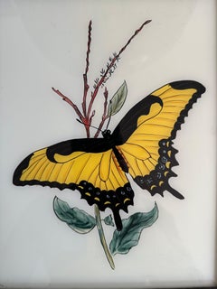 19th-Century Butterfly Illustration: Elegant Entomological Art