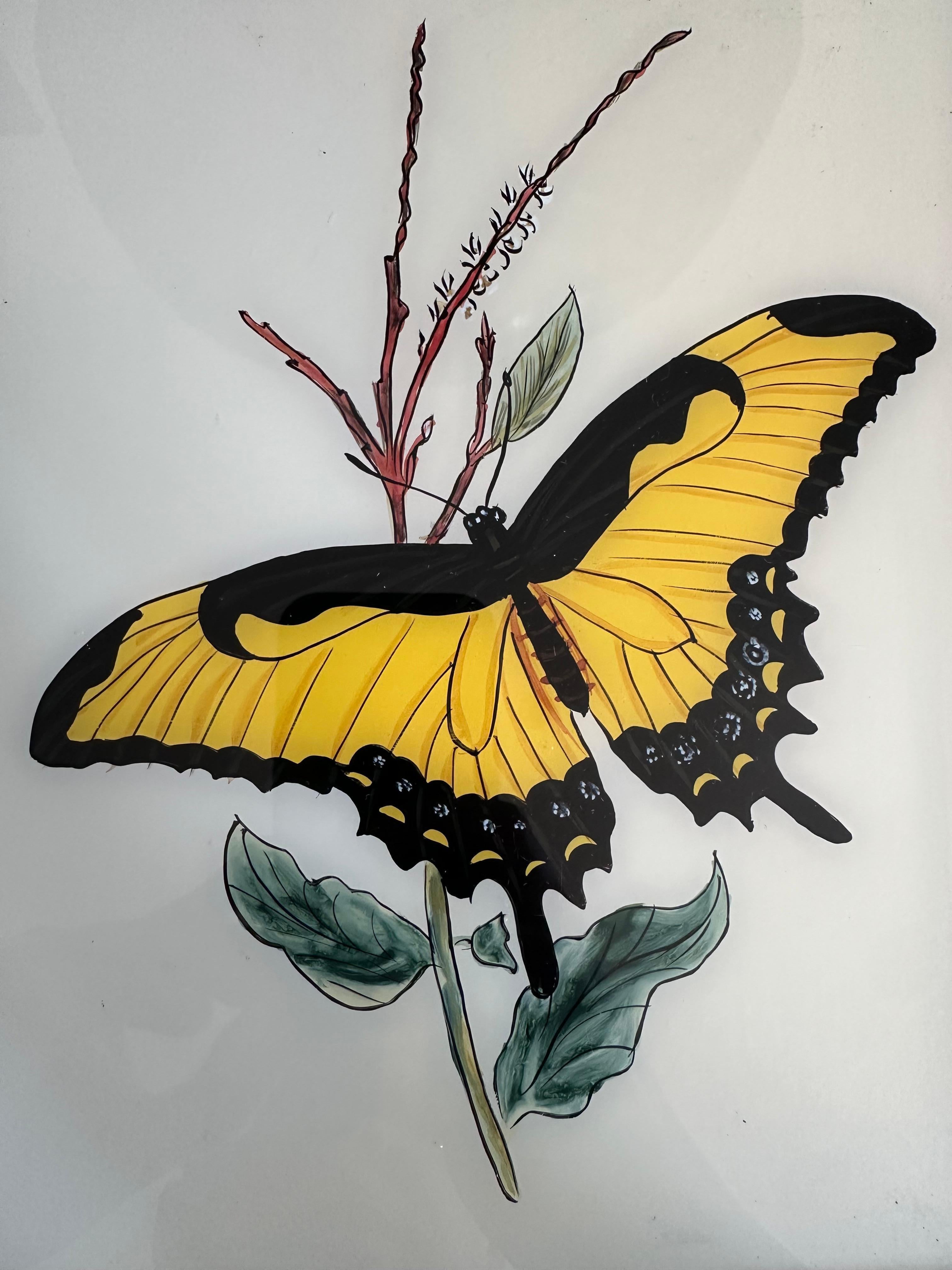 Inglese Illustrazione di farfalle del XIX secolo: Eleganza dell'arte entomologica in vendita