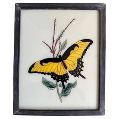 19th-Century Butterfly Illustration: Elegant Entomological Art