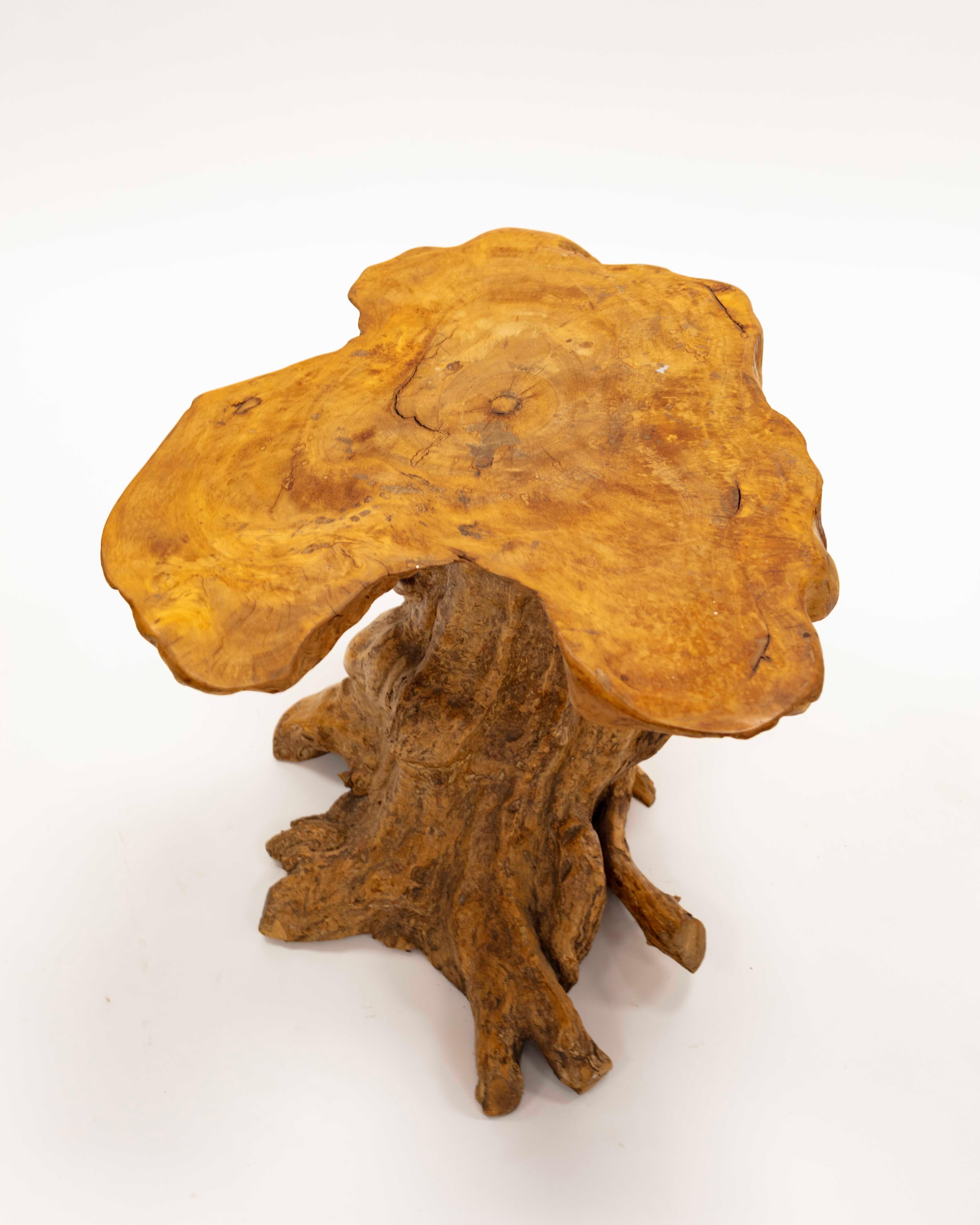 19th Century California Style Root Table In Good Condition For Sale In New York, NY