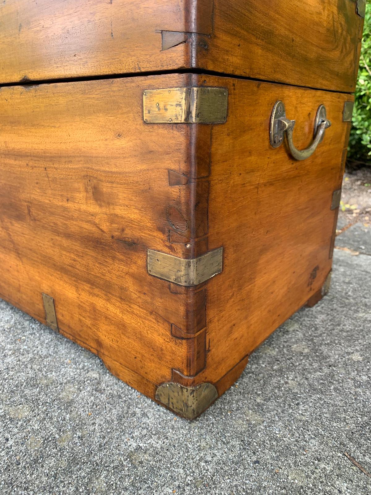 19th Century Campaign Style Camphor Wood Trunk 7