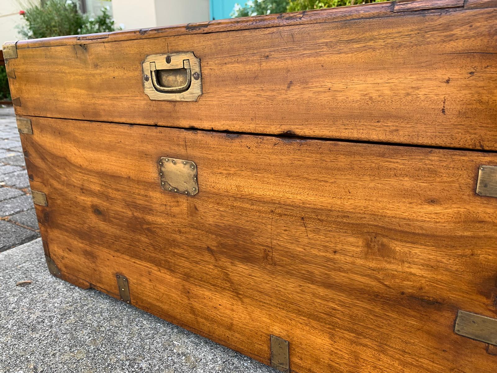 19th Century Campaign Style Camphor Wood Trunk 9