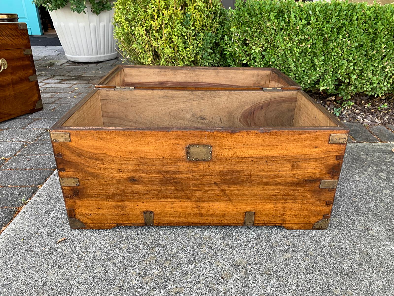19th Century Campaign Style Camphor Wood Trunk 13