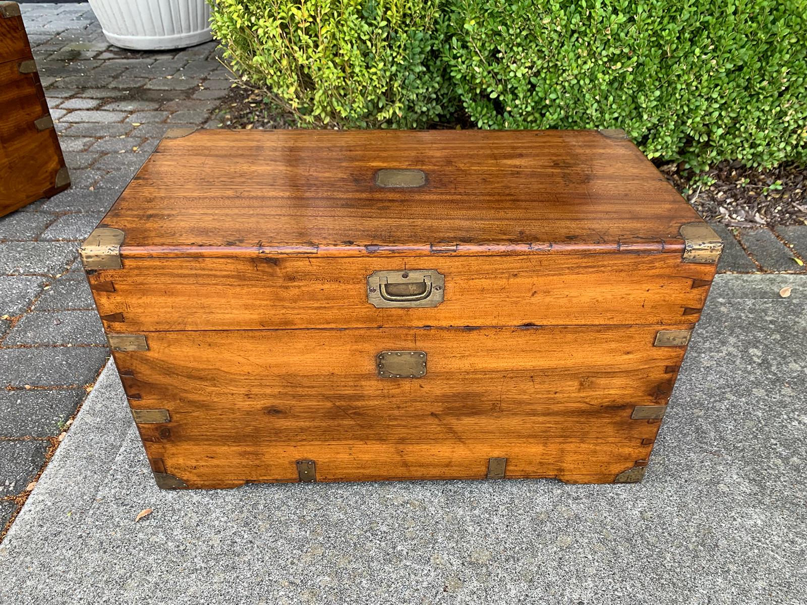 Brass 19th Century Campaign Style Camphor Wood Trunk