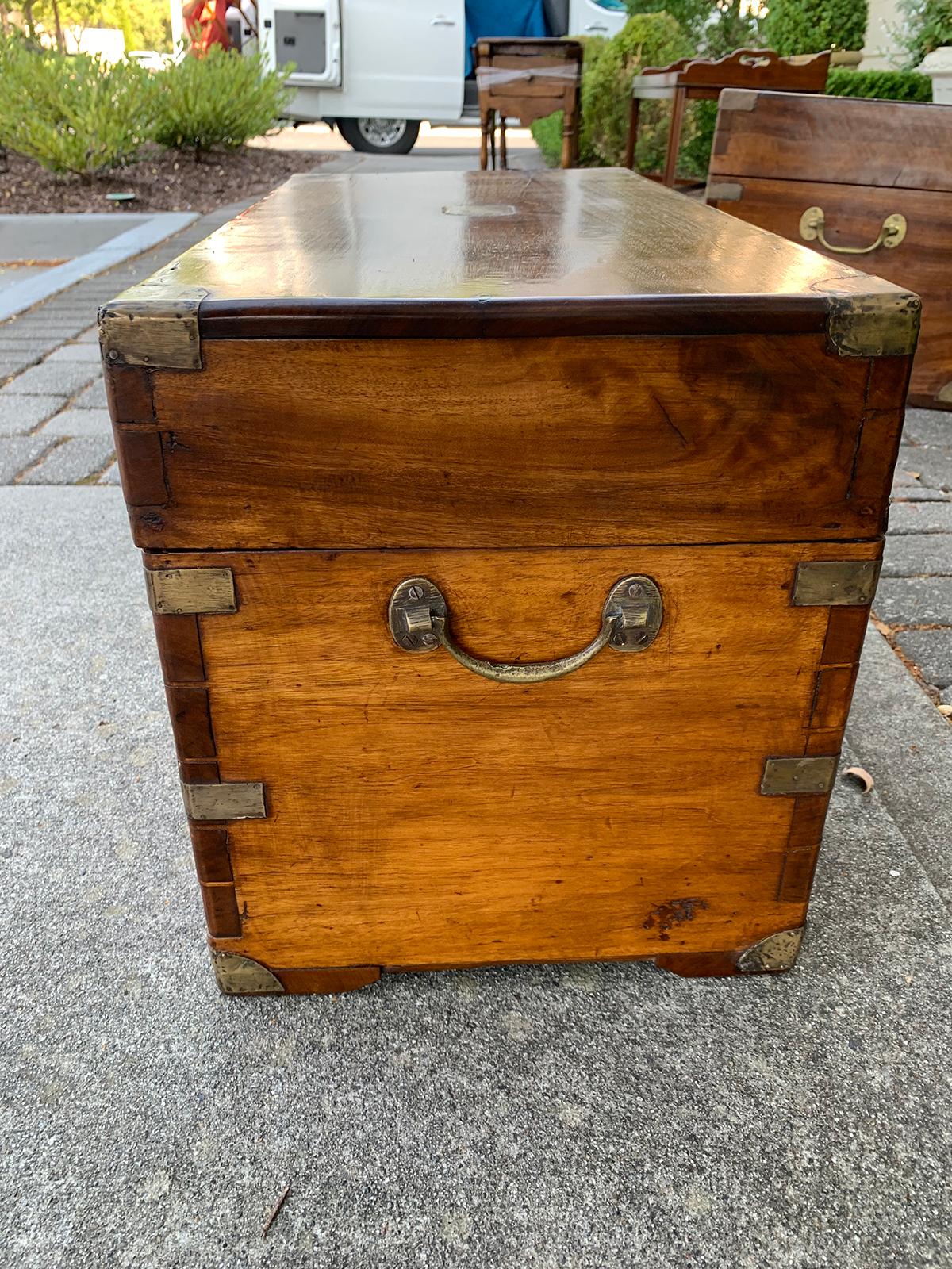 19th Century Campaign Style Camphor Wood Trunk 5