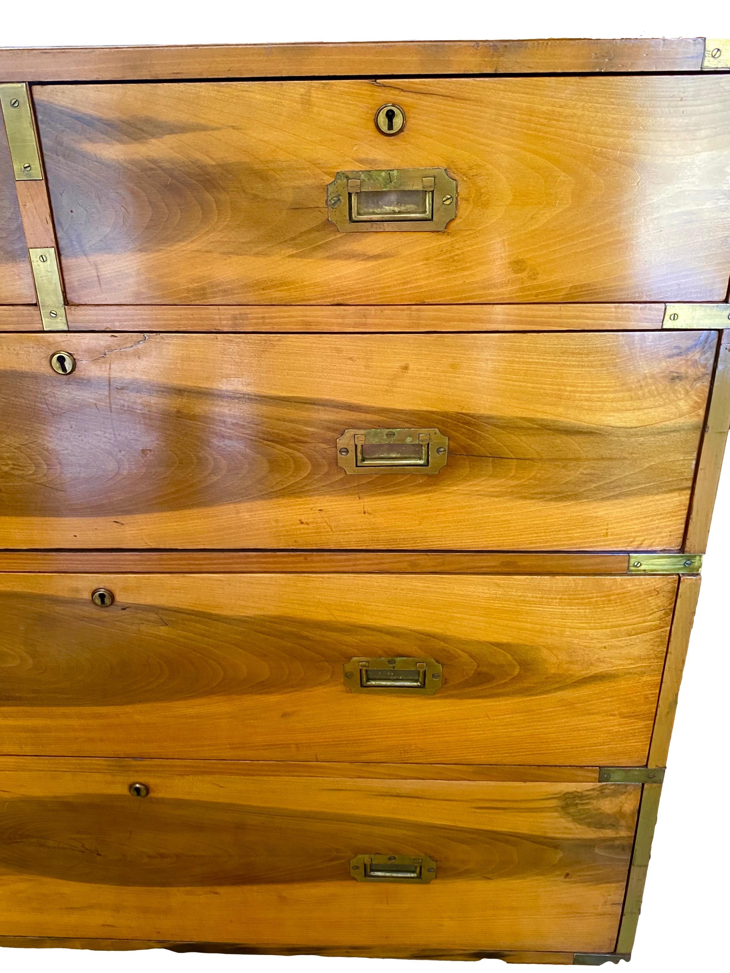 19th Century Camphor Campaign Chest For Sale 1