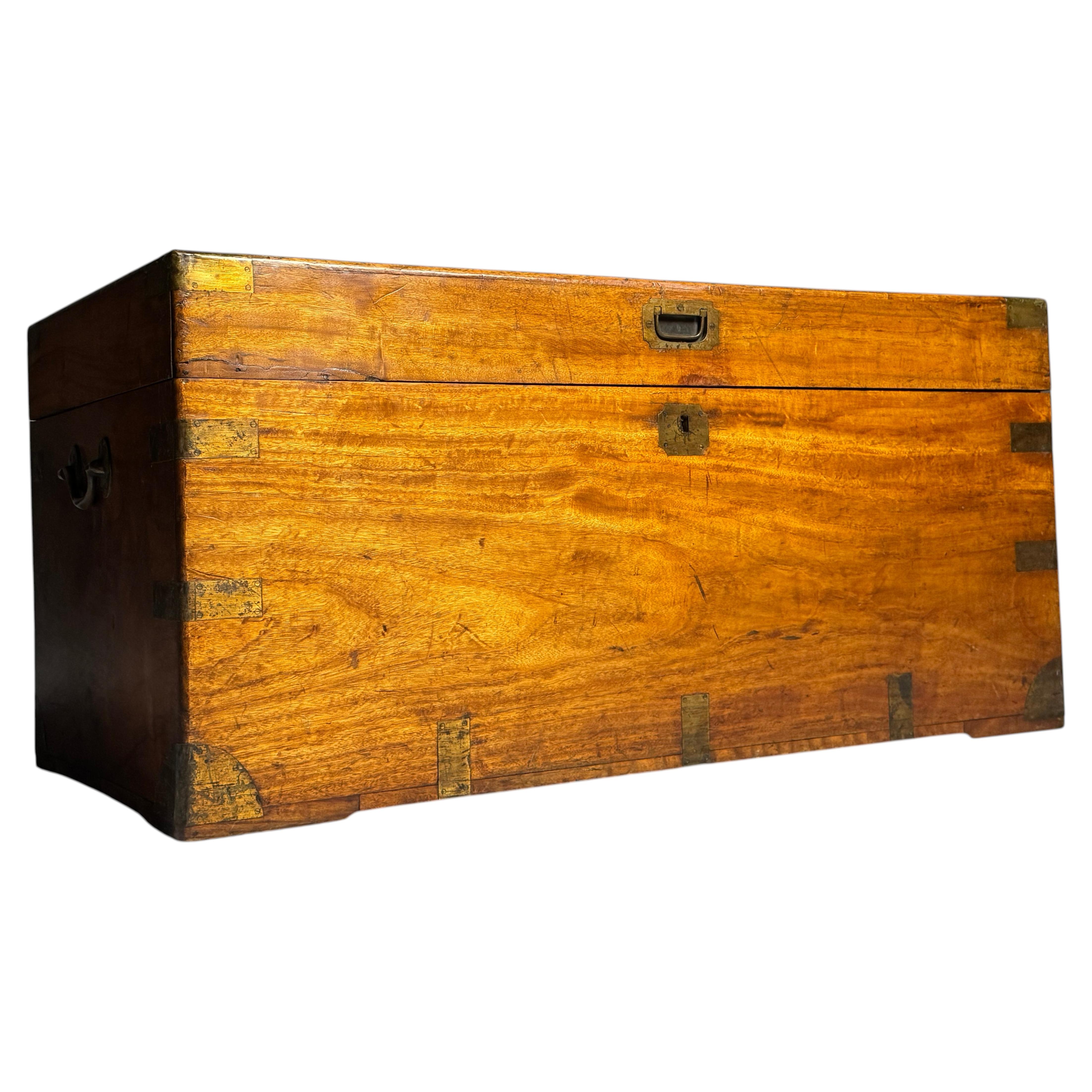 19th-century camphor wood antique campaign chest