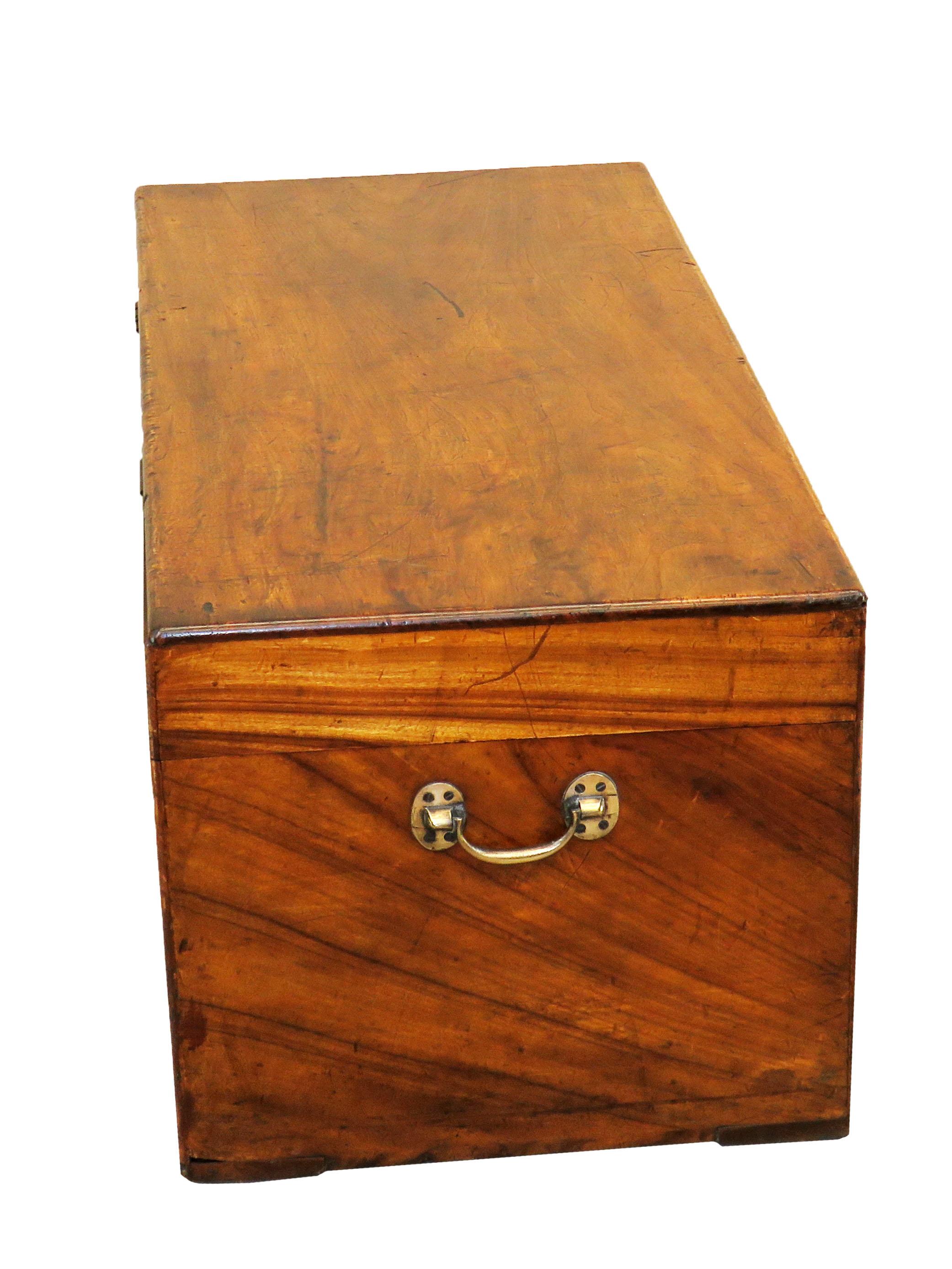 19th Century Camphor Wood Military Campaign Trunk 2