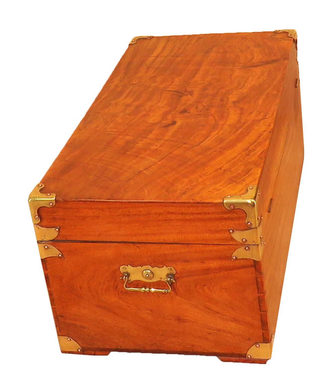 19th Century Camphor Wood Military Campaign Trunk 3