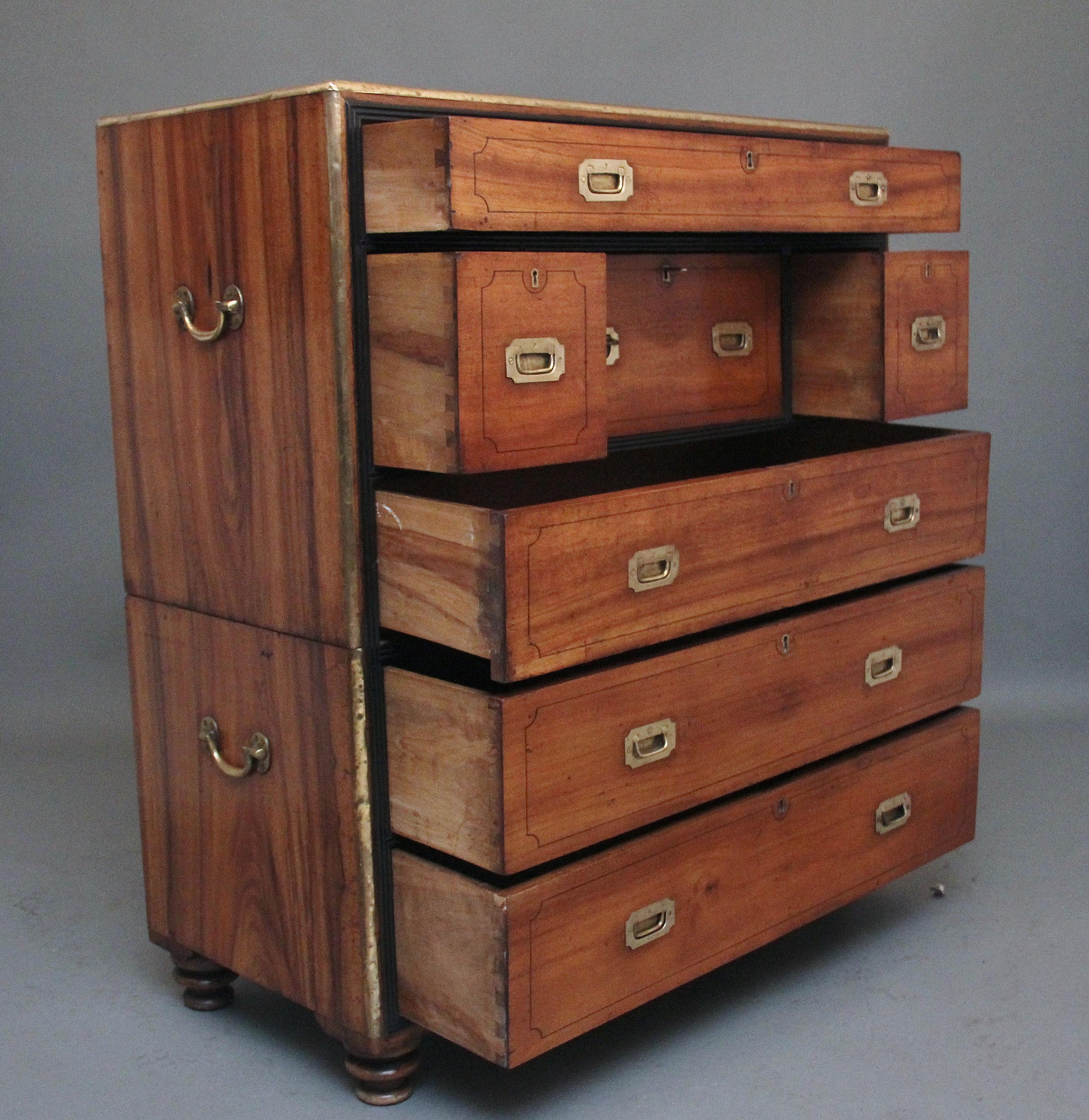 19th Century camphor wood secretaire military chest For Sale 3