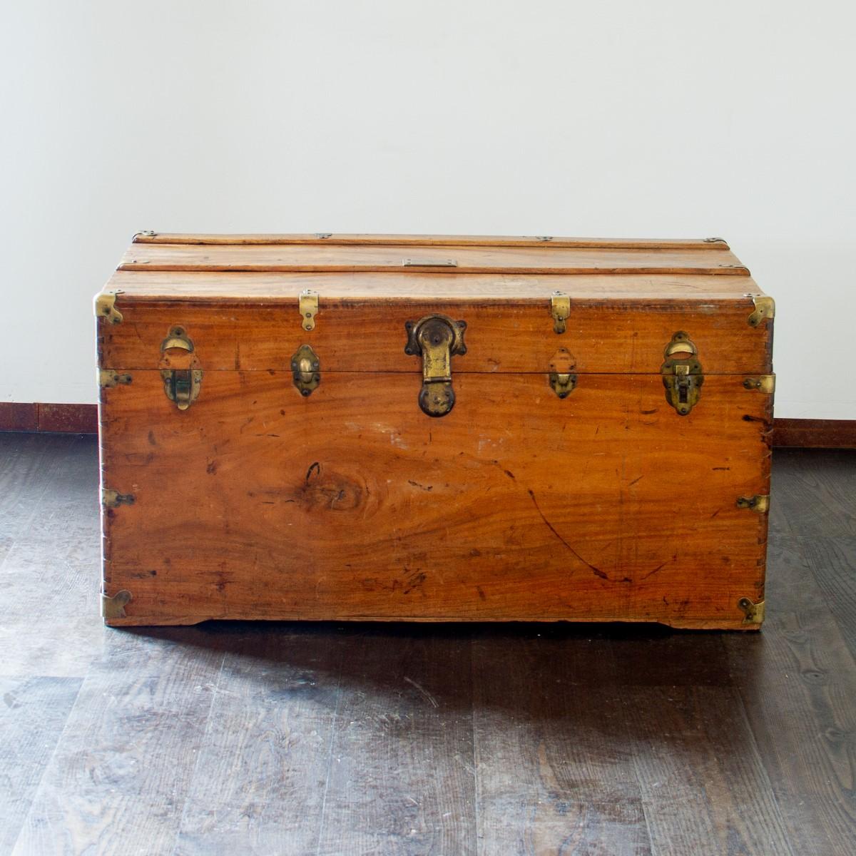 19th Century Camphor Wood Travelling Trunk In Good Condition In Donhead St Mary, Wiltshire