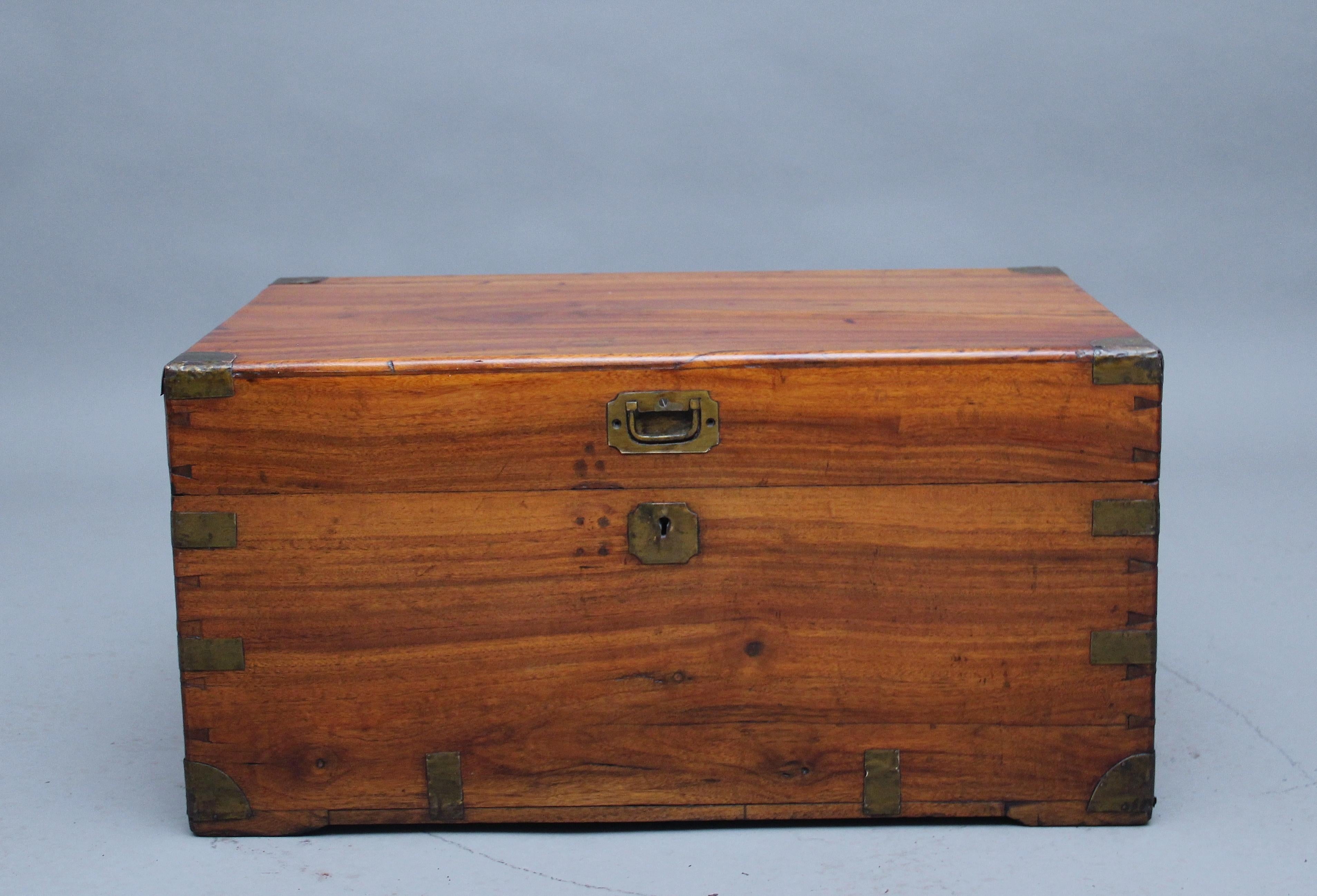 Early Victorian 19th Century Camphor Wood Trunk For Sale