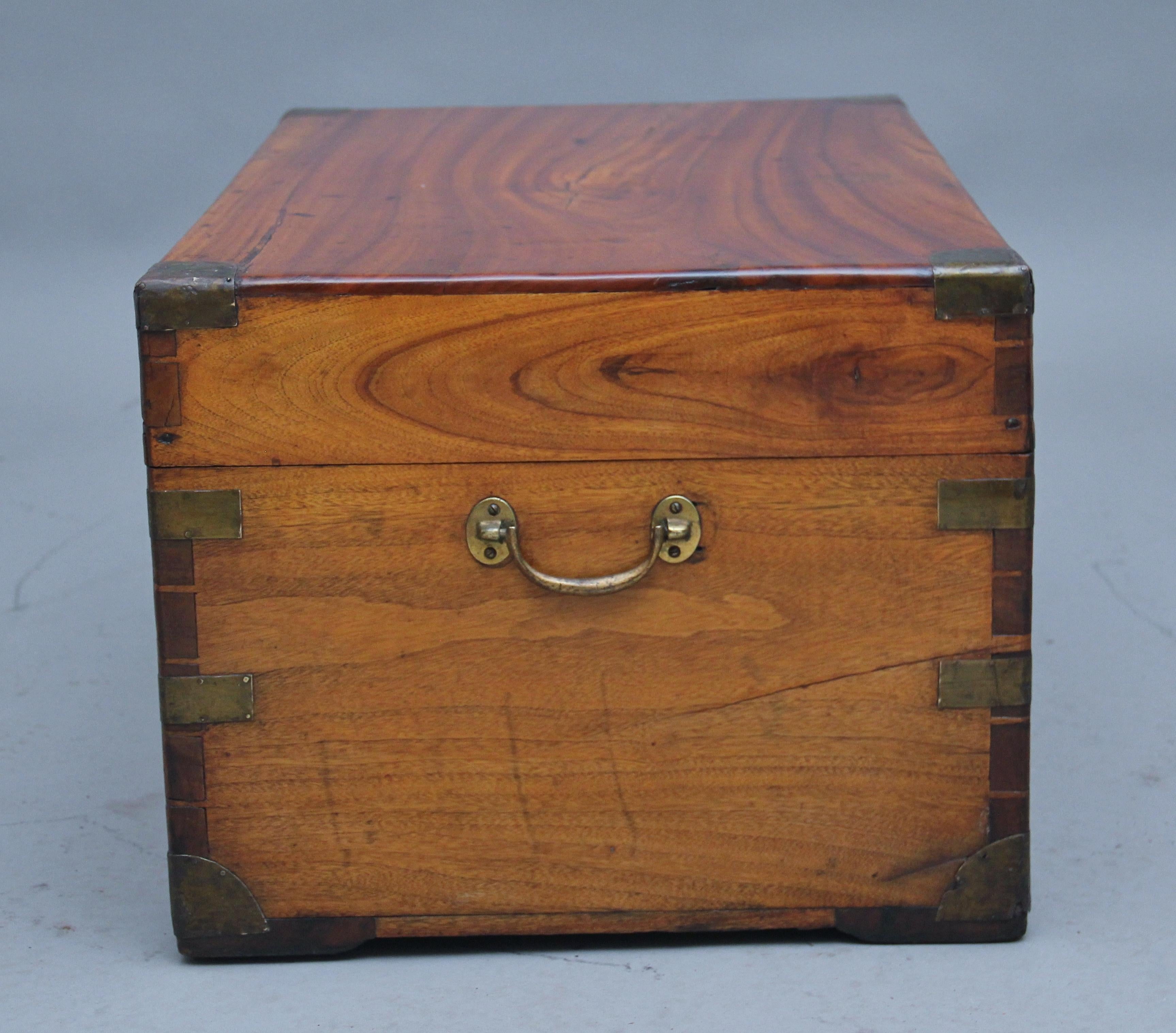 British 19th Century Camphor Wood Trunk For Sale