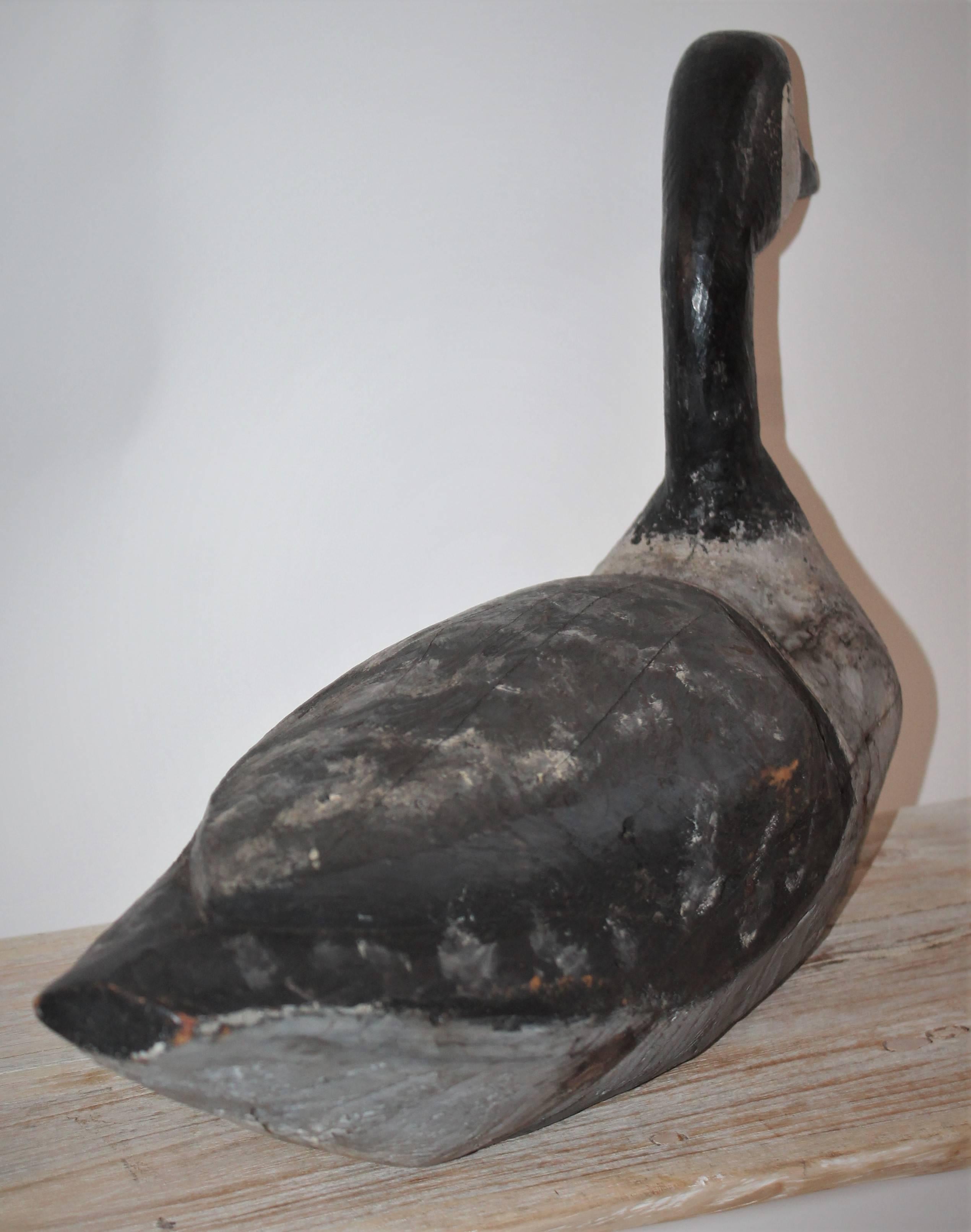 Other 19th Century Canadian Goose Decoy from New England