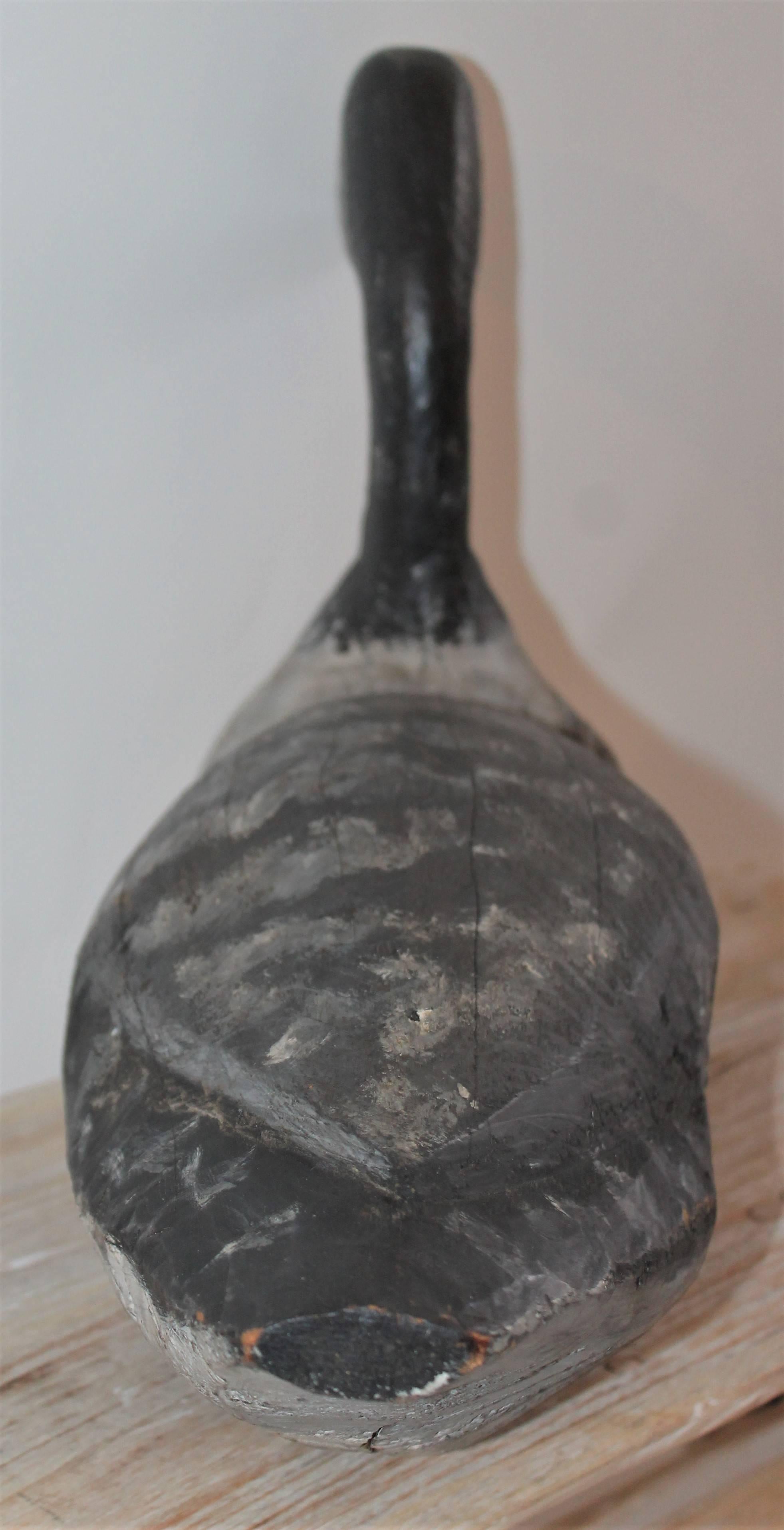 American 19th Century Canadian Goose Decoy from New England