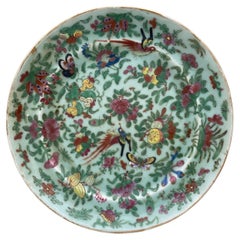 Antique 19th Century Canton Famille Rose Chinese Export Porcelain Celadon Platter