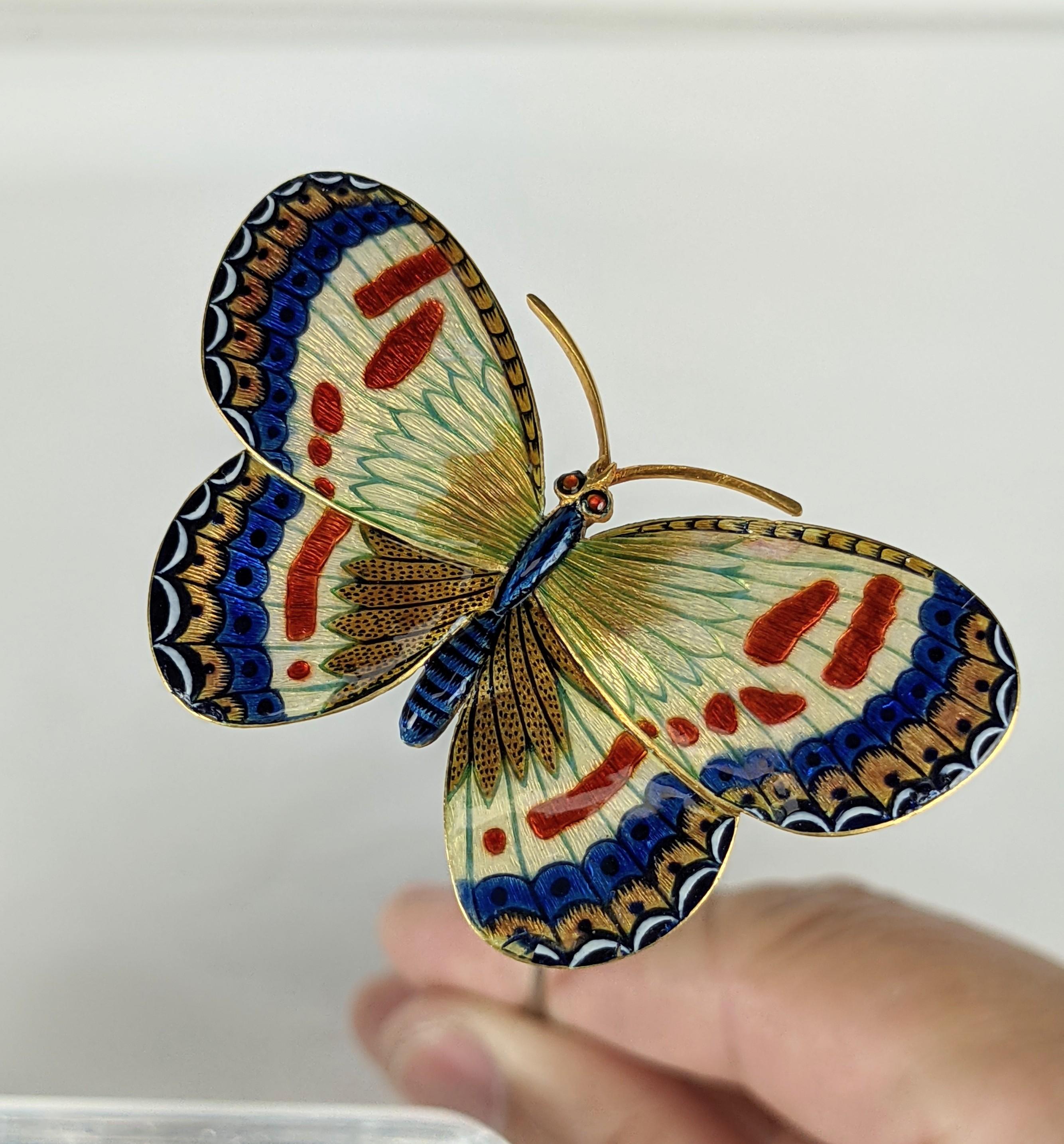 19th Century Carlo Guiliano Enamel Butterfly For Sale 7