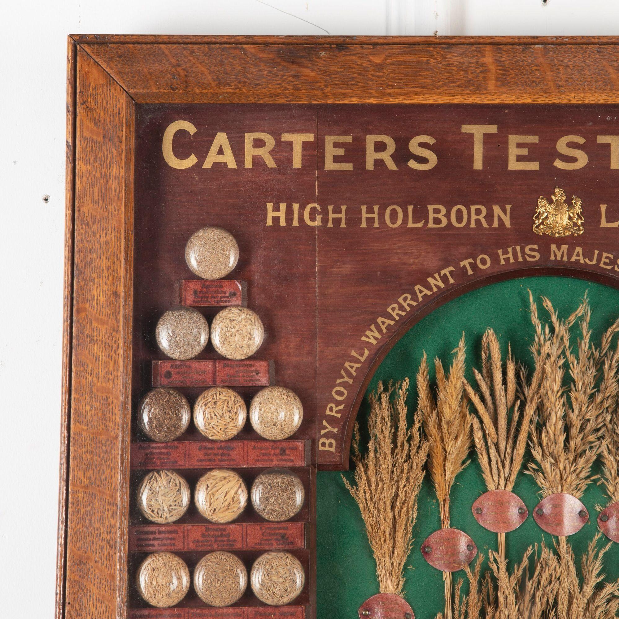 19th Century Carter Tested Seed Wall Display In Good Condition For Sale In Gloucestershire, GB