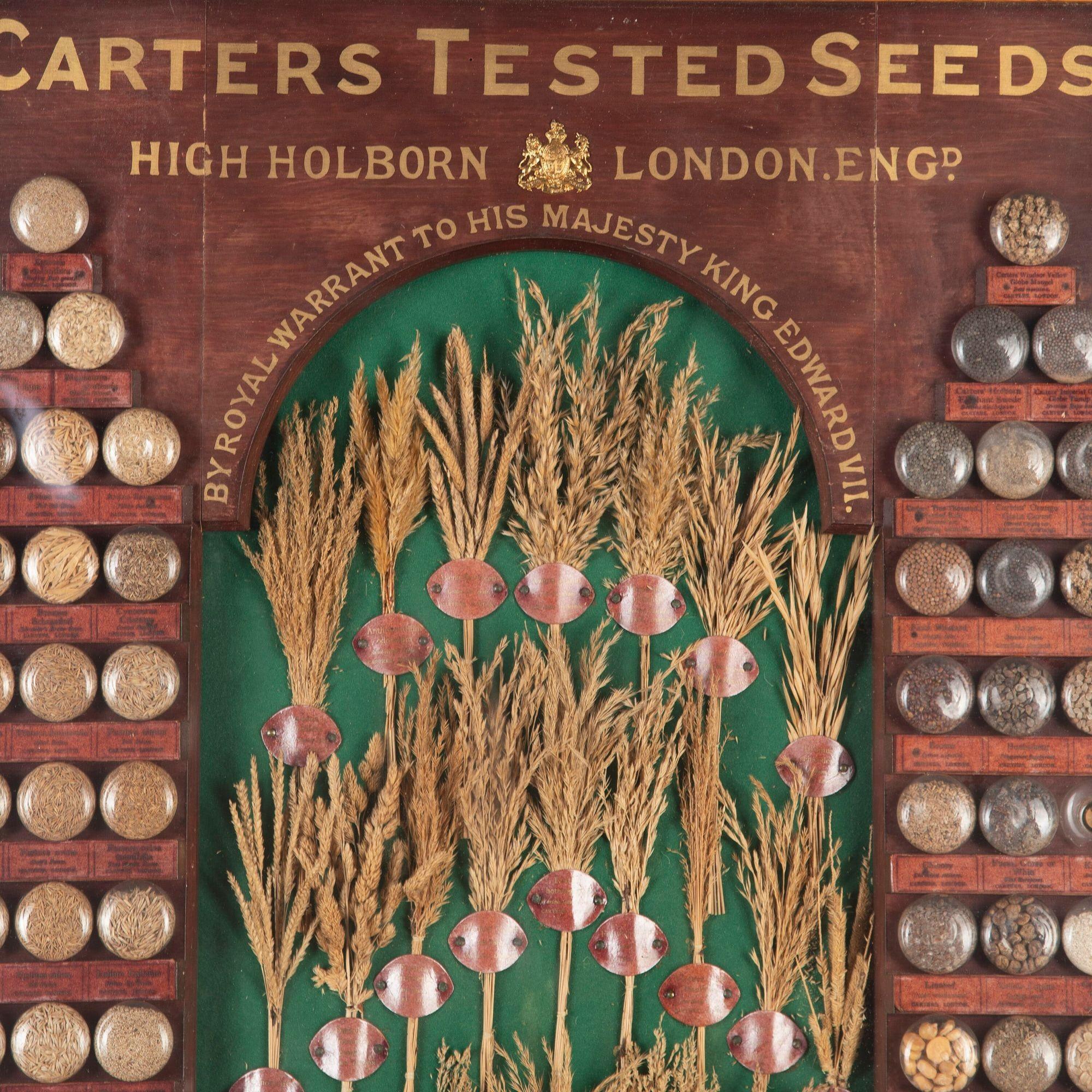 Wood 19th Century Carter Tested Seed Wall Display For Sale